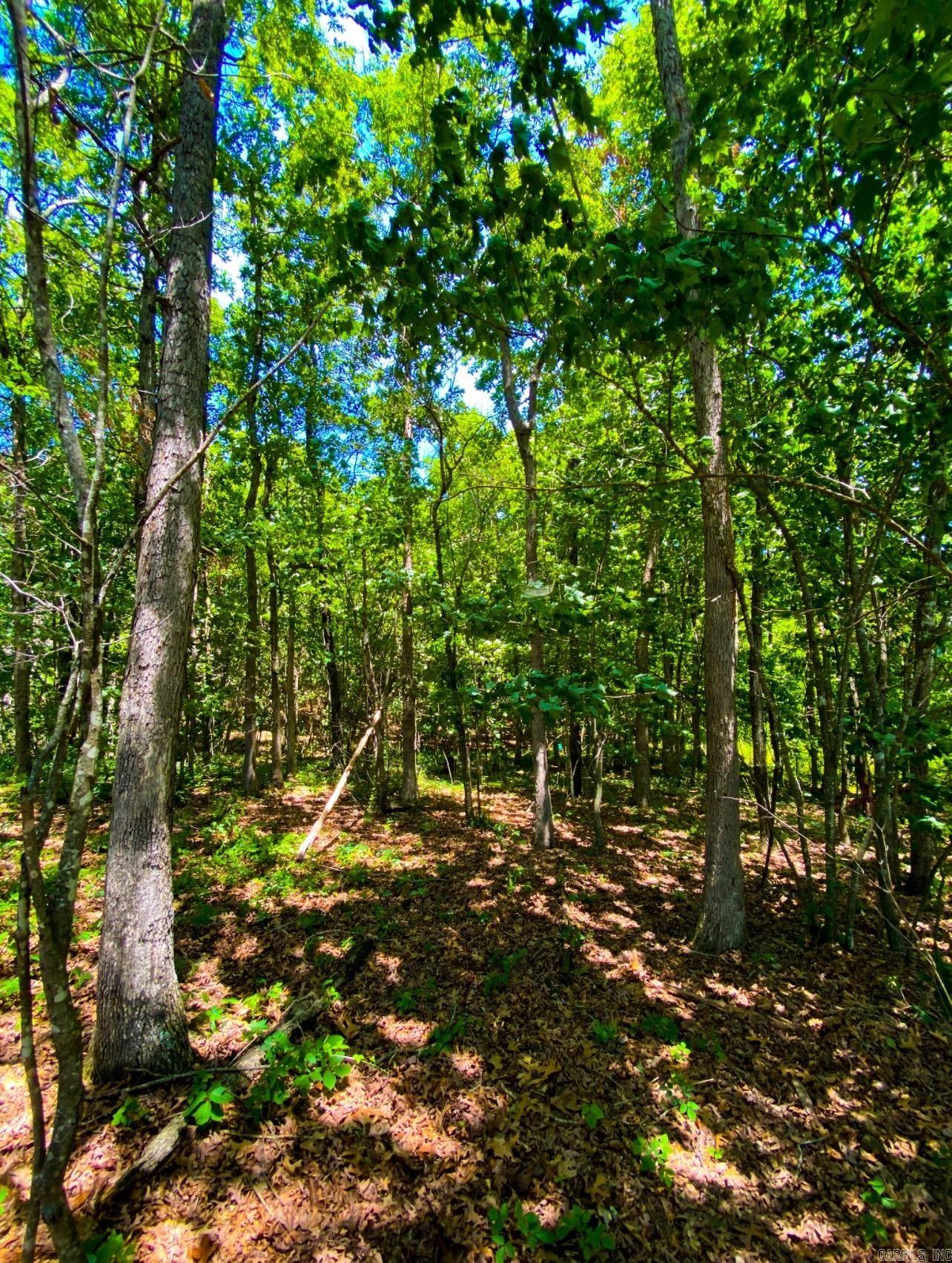 000 County road 9  Kingston, AR