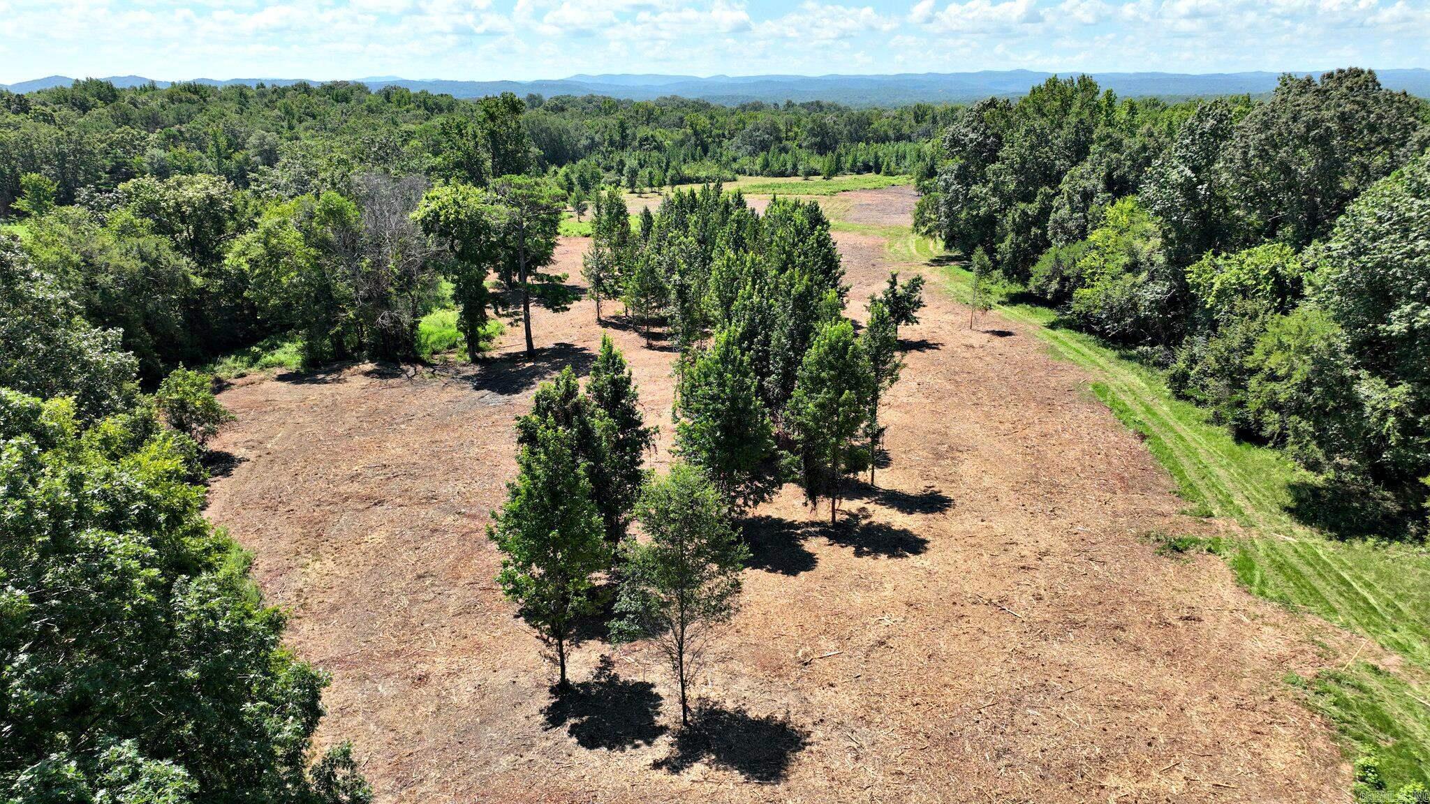 4986 Highway 88 E  Mena, AR