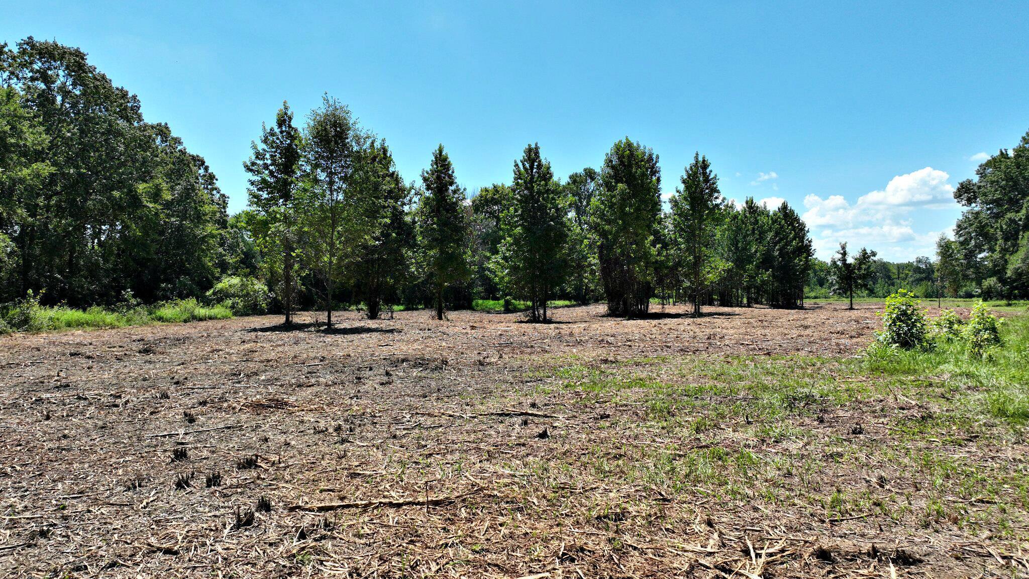 4986 Highway 88 E  Mena, AR