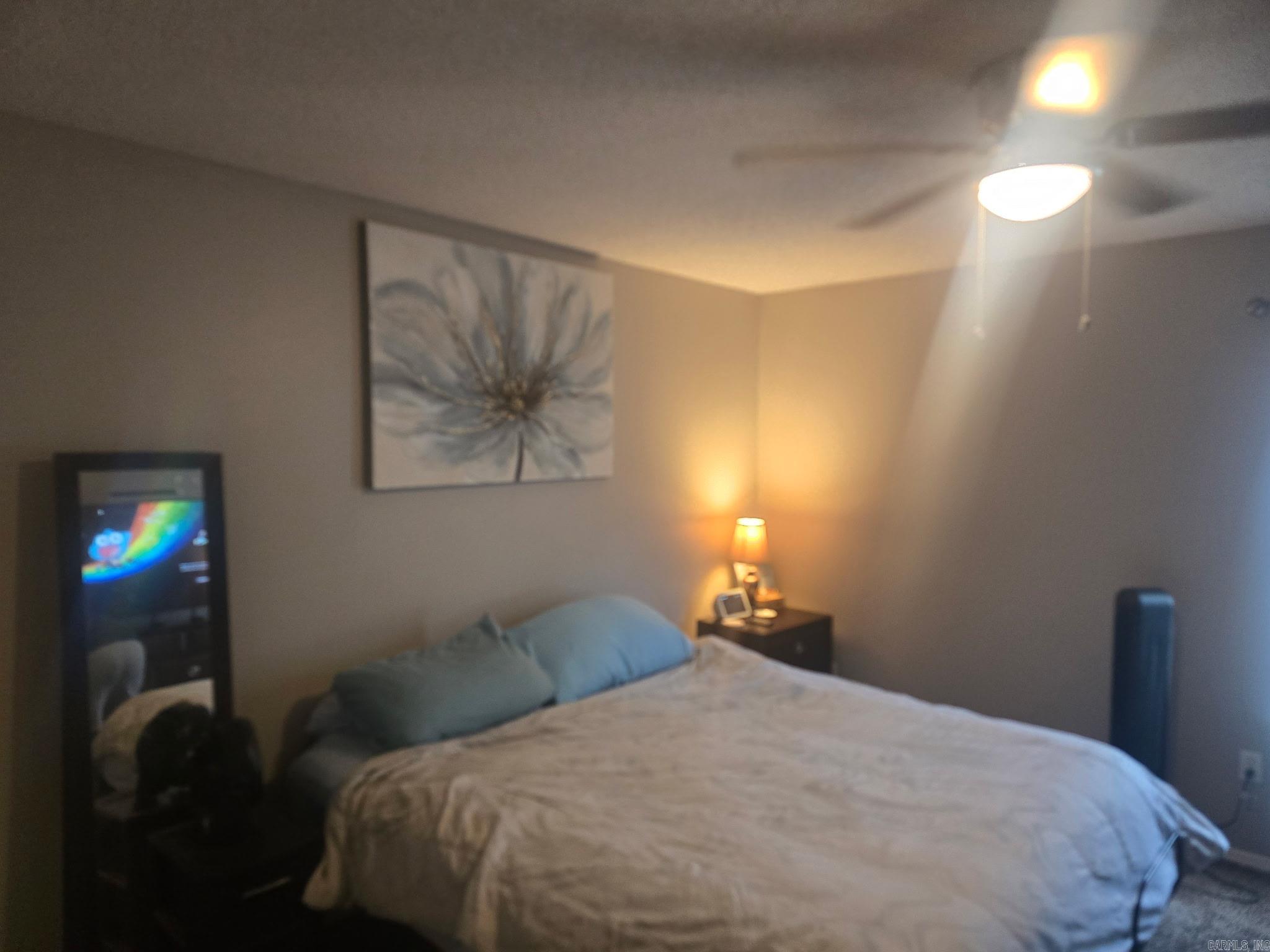 12923 Hummingbird  Alexander, AR