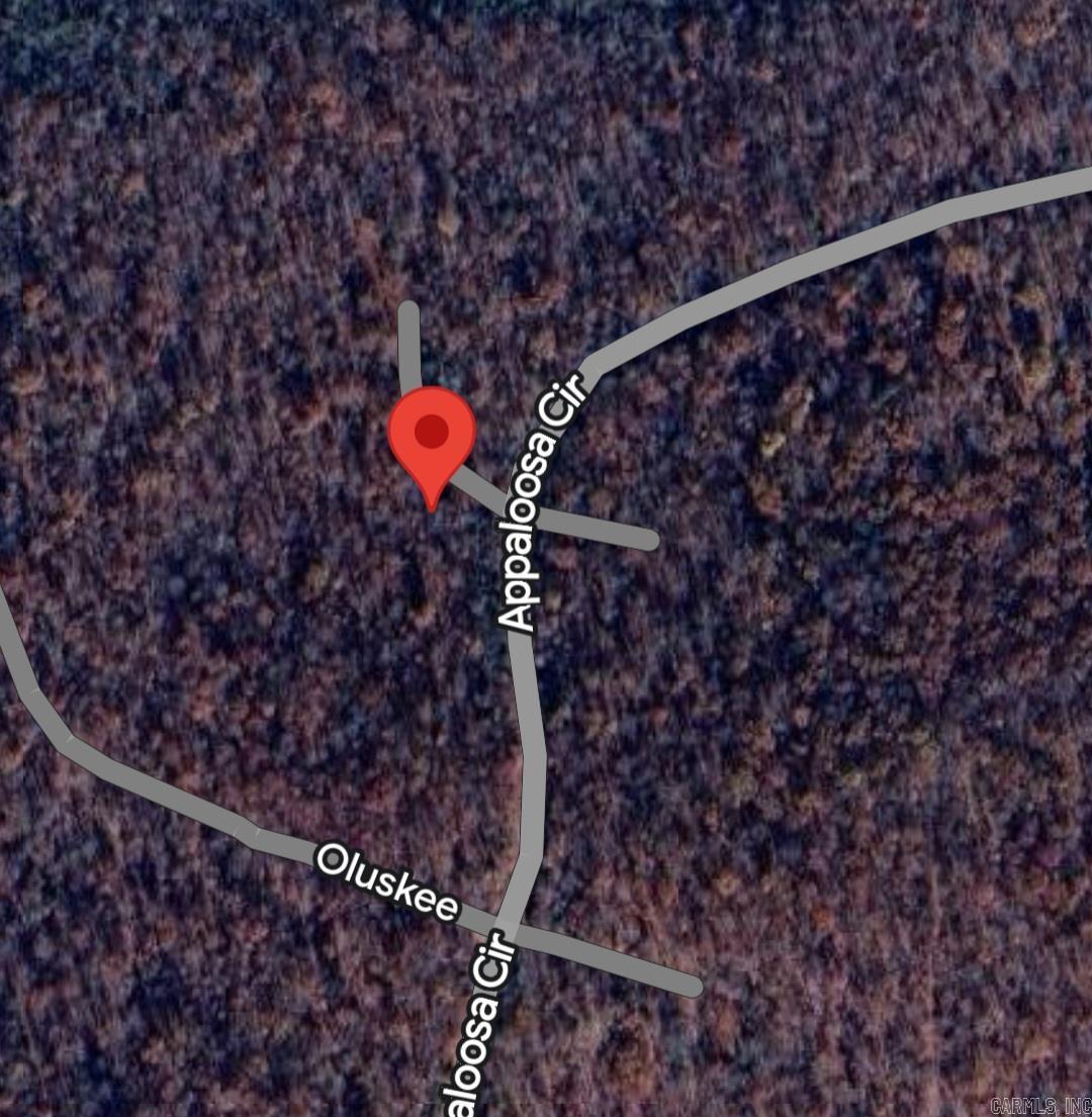 Lot 02 Wimic  Cherokee Village, AR