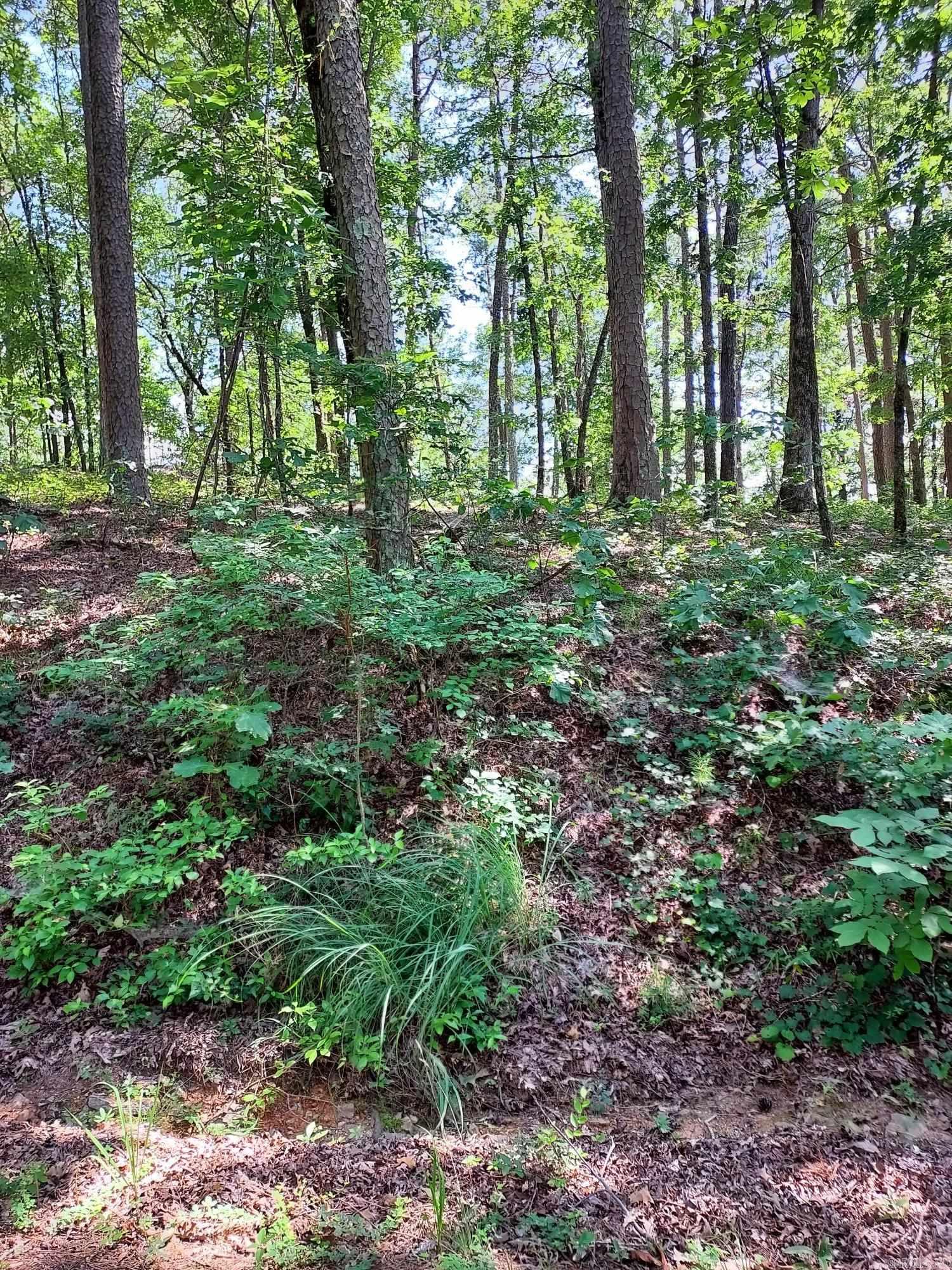 52 Montanoso Way  Hot Springs Village, AR