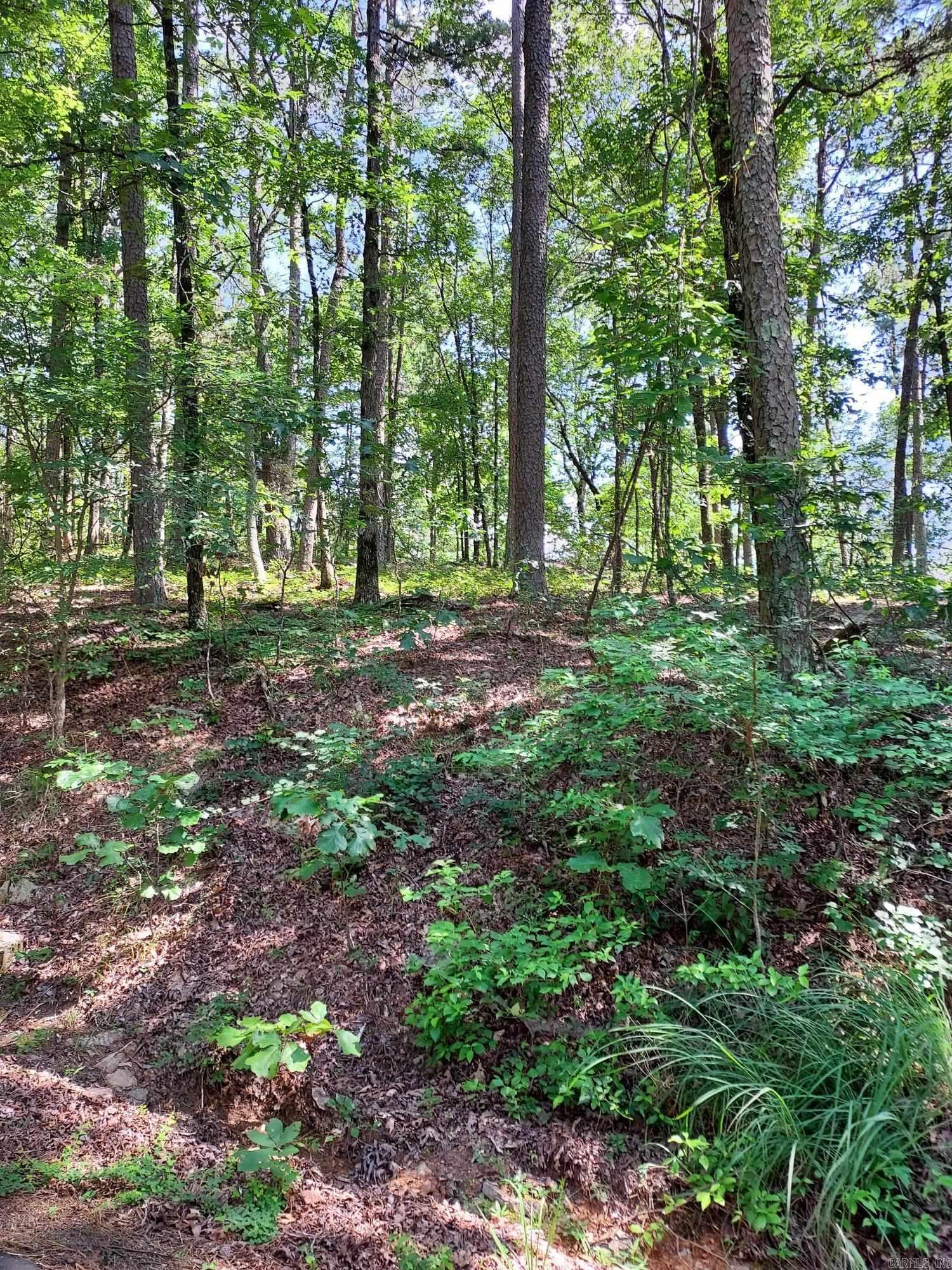 52 Montanoso Way  Hot Springs Village, AR