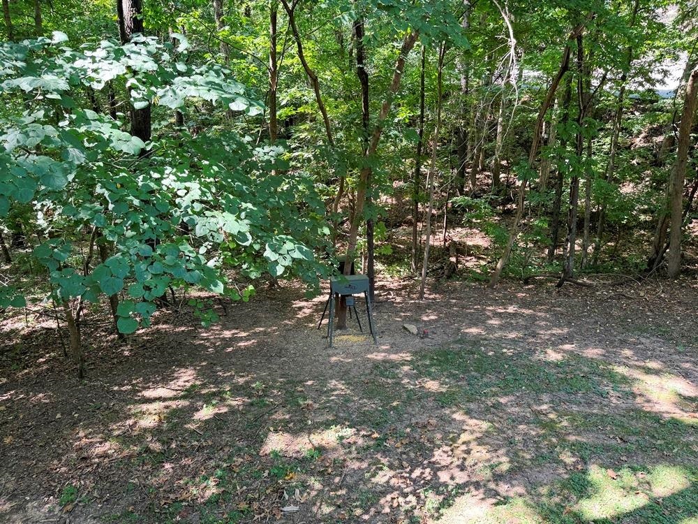 2 N Lakeshore  Cherokee Village, AR