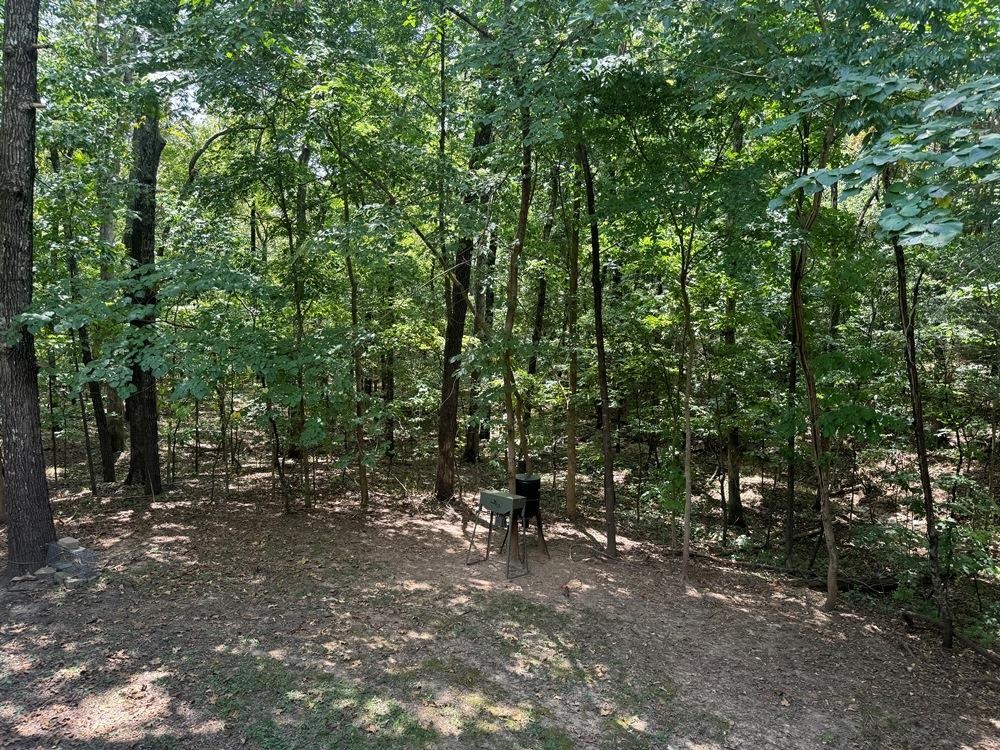 2 N Lakeshore Trace Cherokee Village, AR 72529