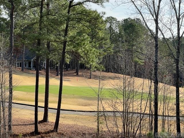 25 Elcano  Hot Springs Village, AR