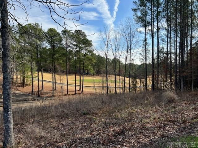 25 Elcano  Hot Springs Village, AR