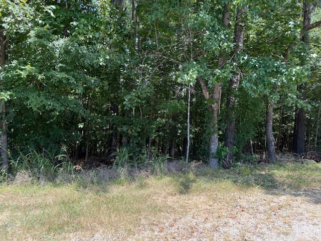 25 Elcano  Hot Springs Village, AR