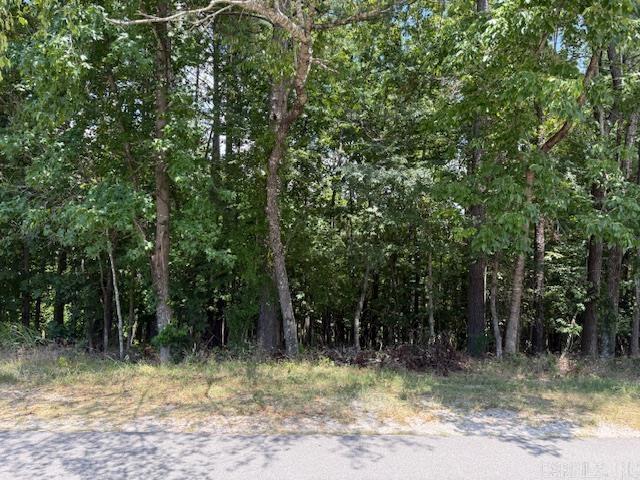 25 Elcano  Hot Springs Village, AR