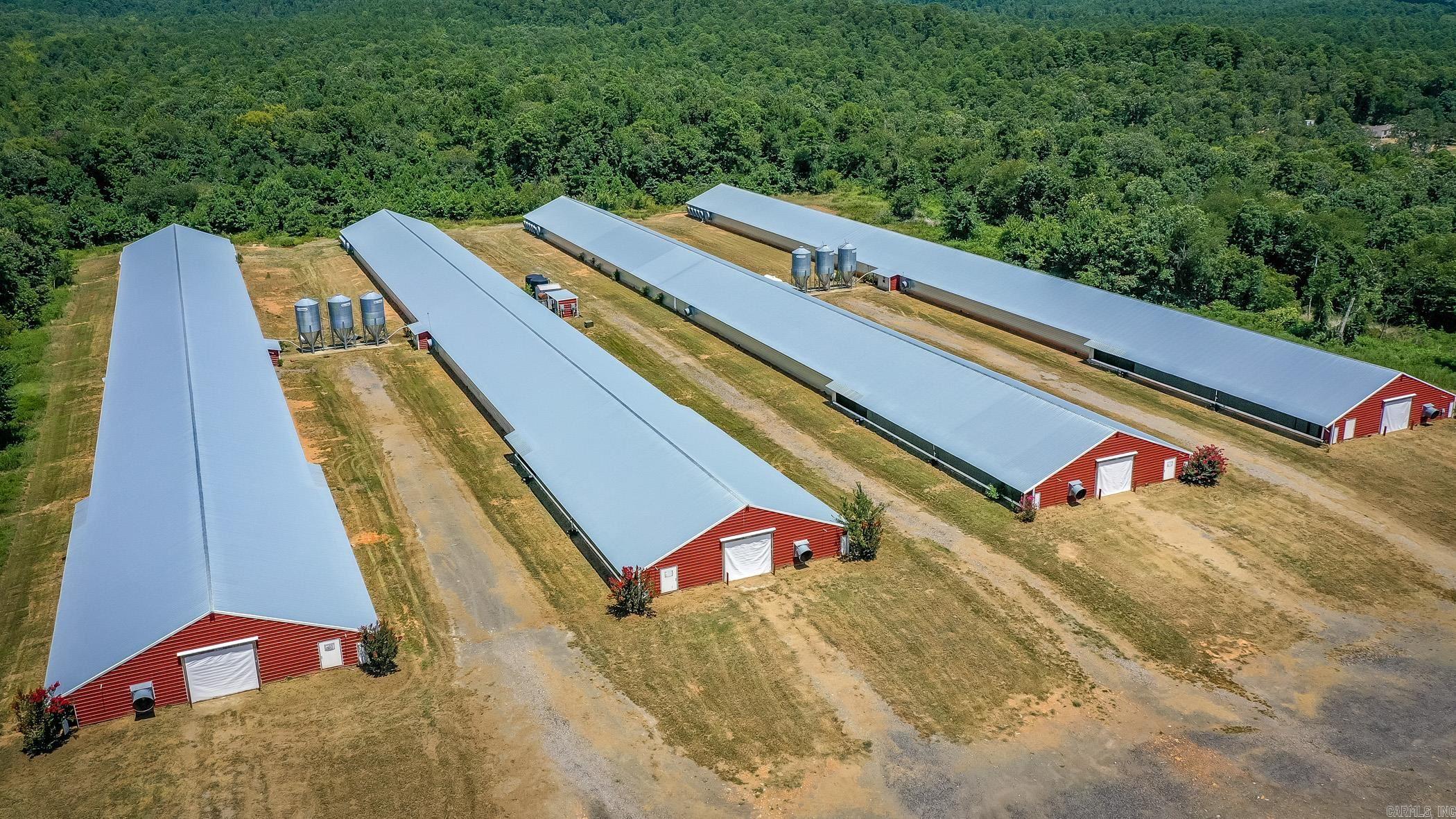 154 Bald Eagle  Mena, AR