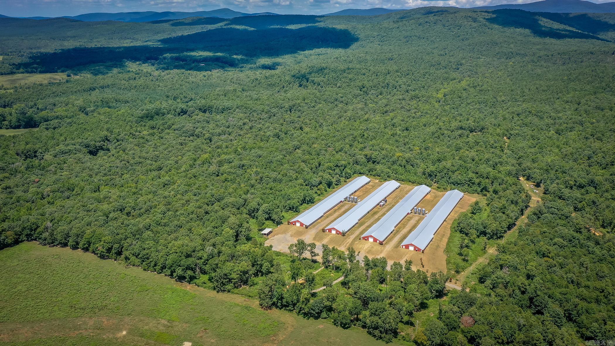 154 Bald Eagle  Mena, AR