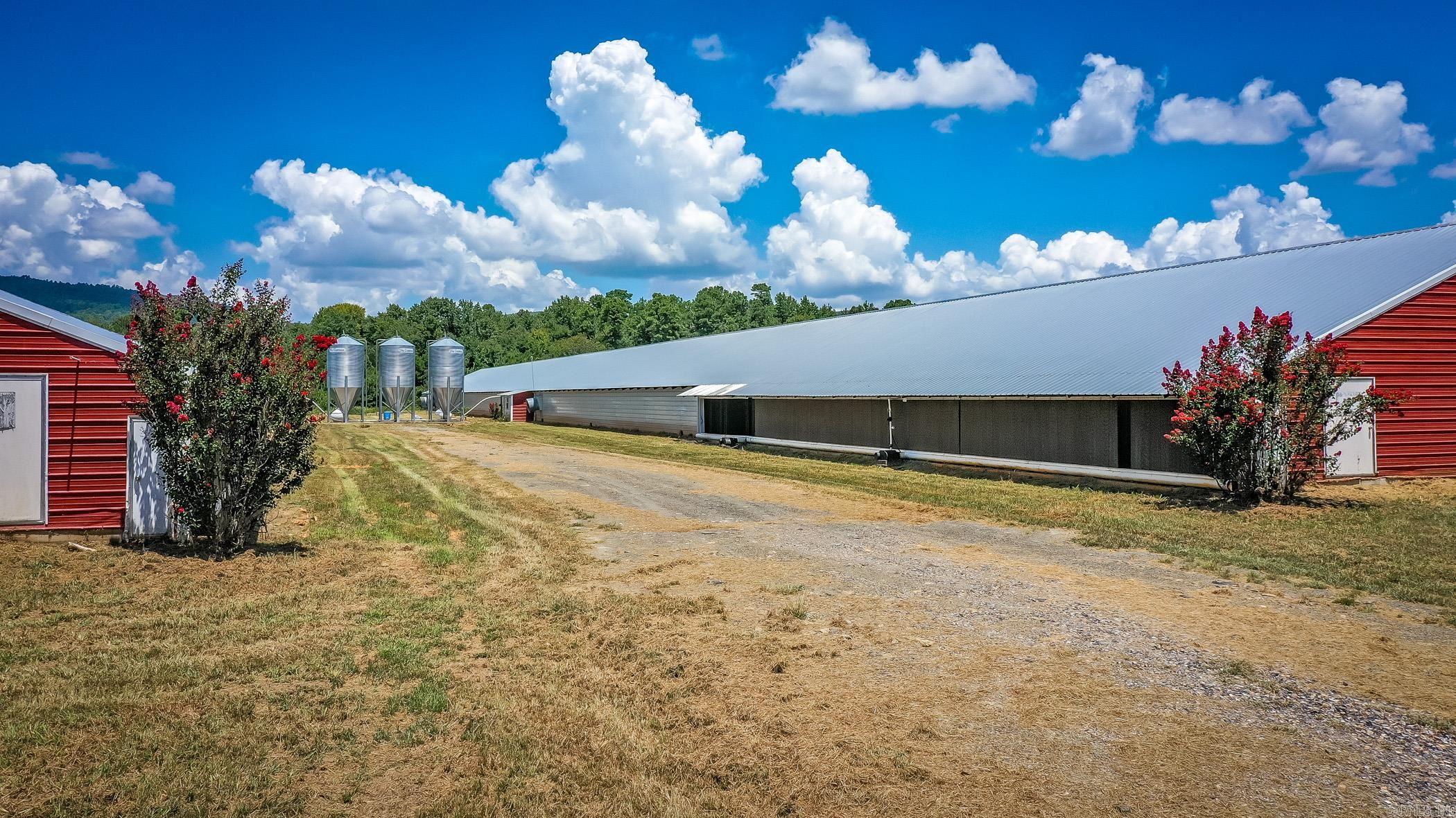 154 Bald Eagle  Mena, AR