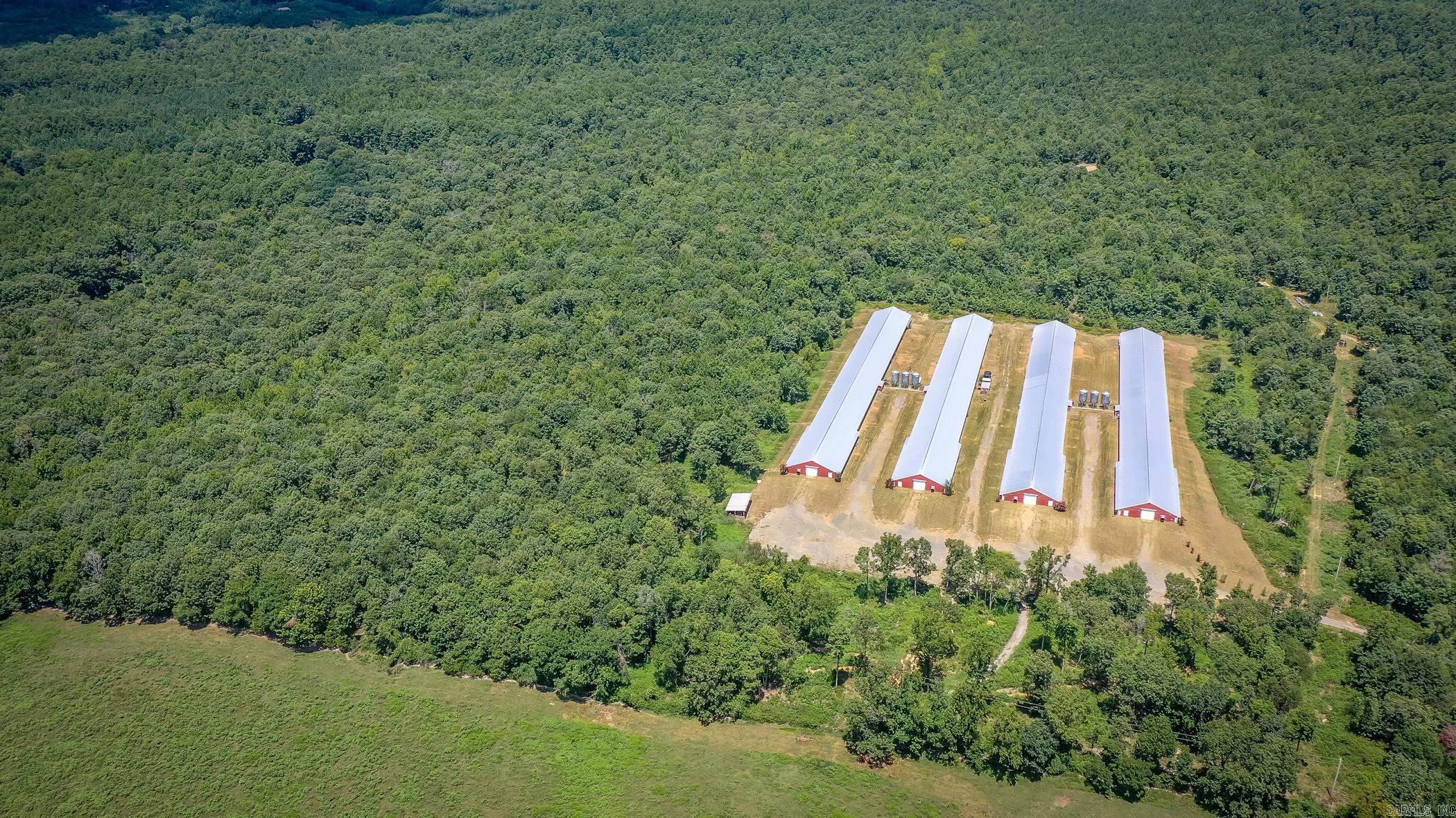 154 Bald Eagle  Mena, AR