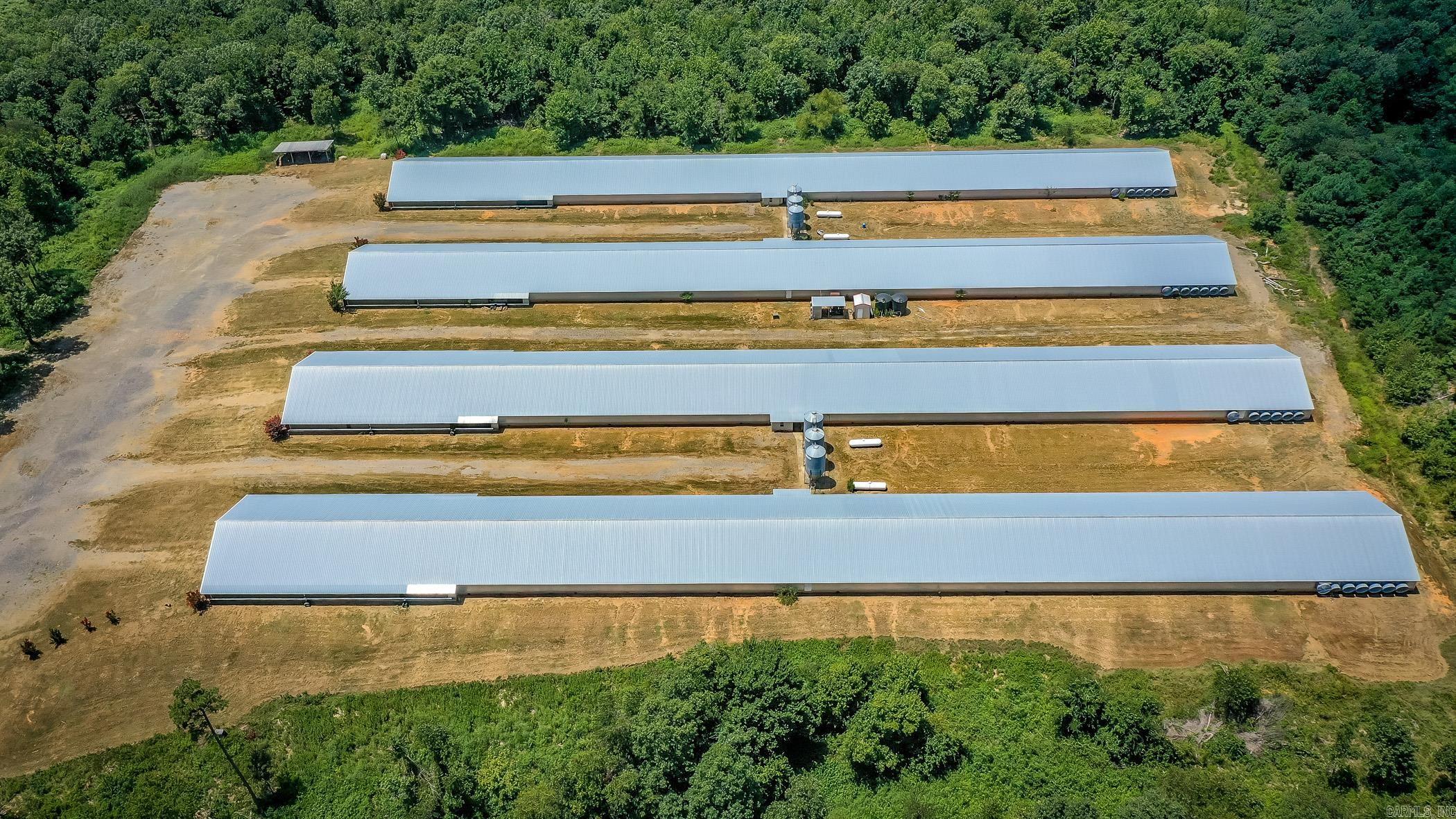 154 Bald Eagle  Mena, AR