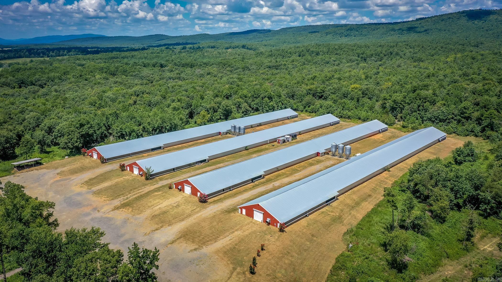 154 Bald Eagle  Mena, AR