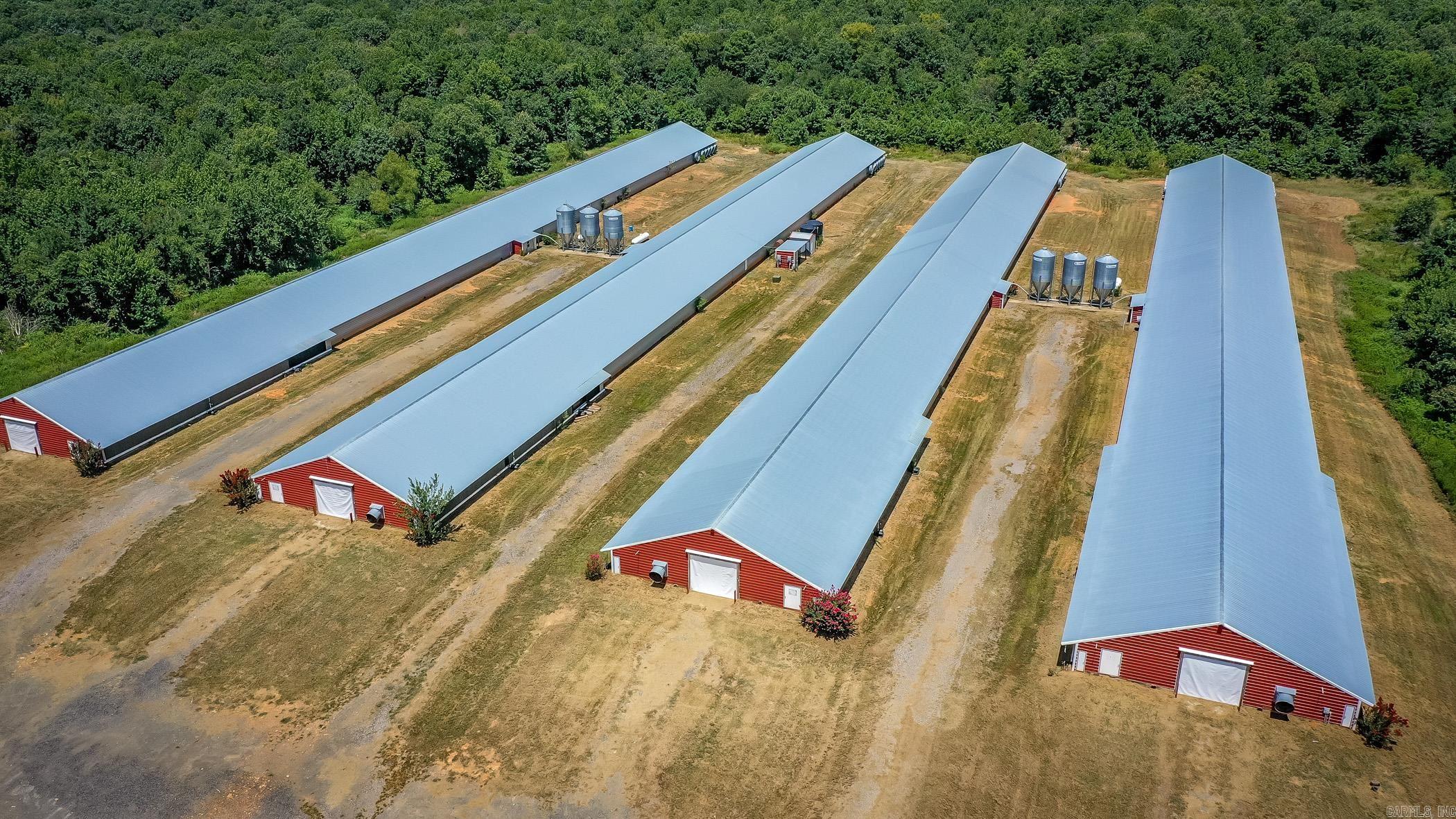 154 Bald Eagle  Mena, AR
