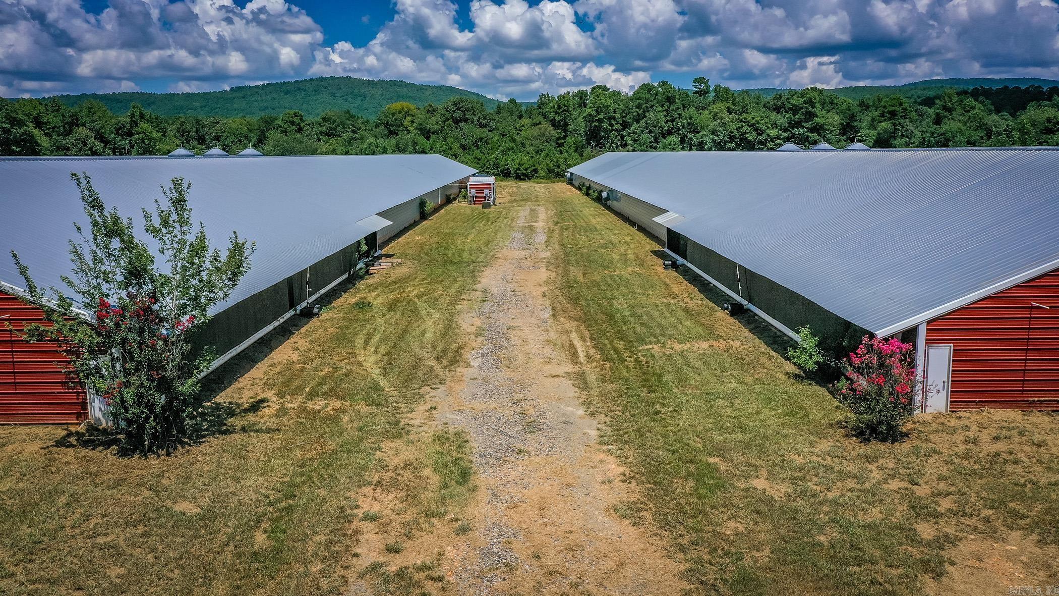 154 Bald Eagle  Mena, AR