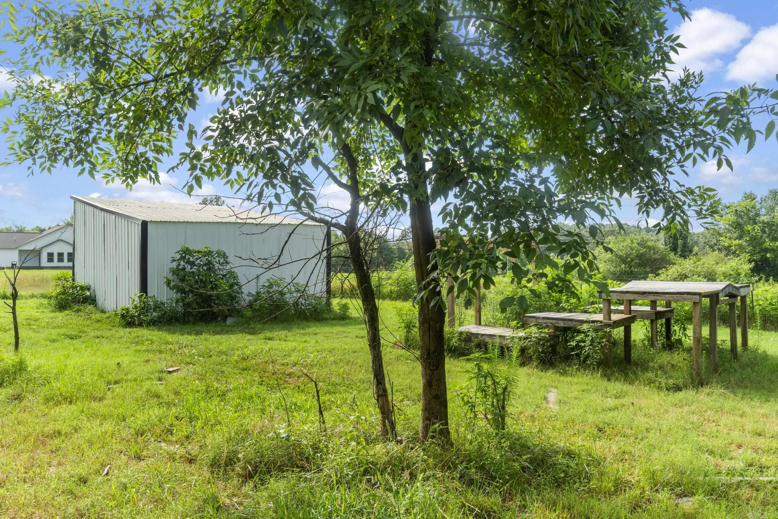 119 Earnie Atkins  Pangburn, AR