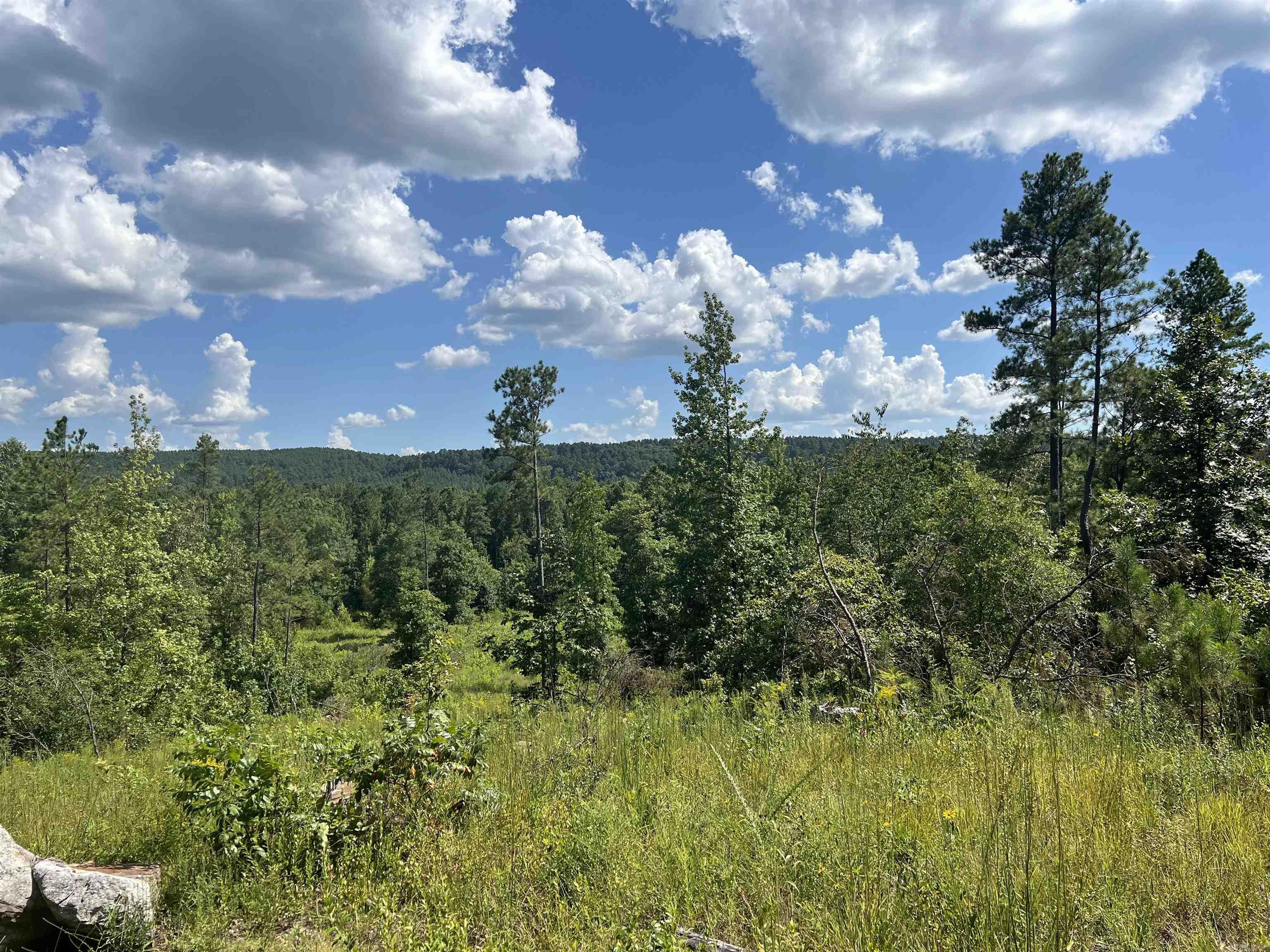 776 John Ashley  Amity, AR