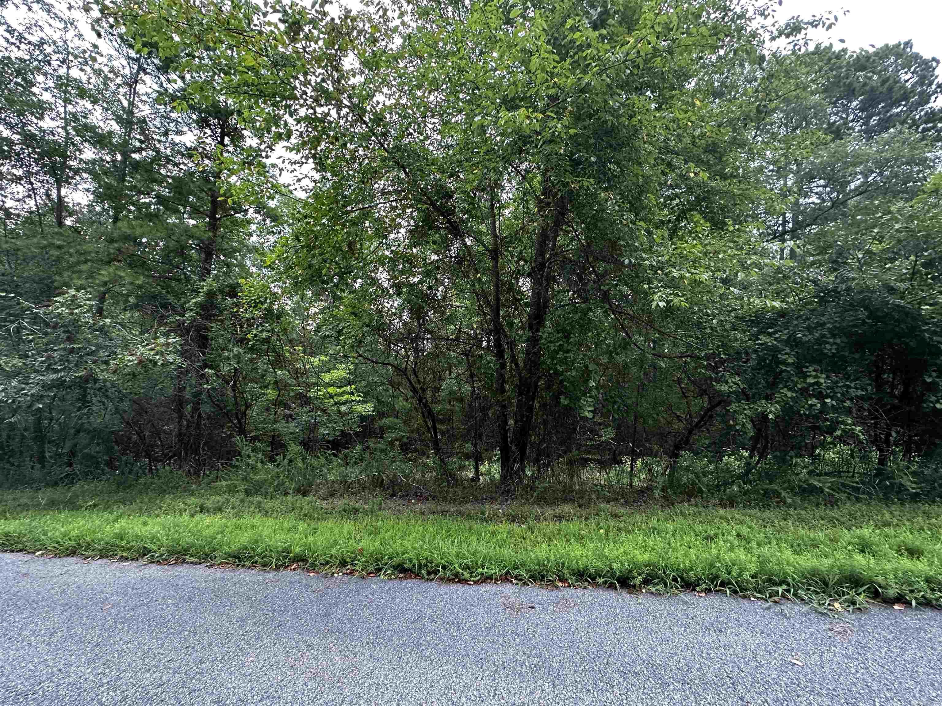 Lot 67 Cobalt Bay Drive  Shirley, AR