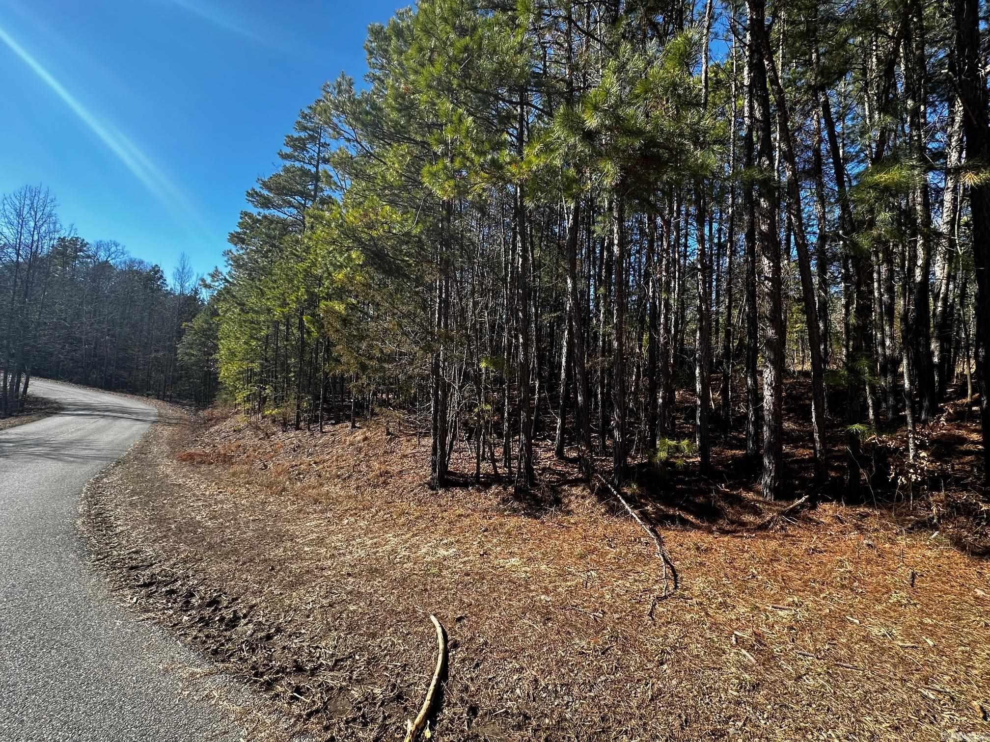 Lot 108 Cobalt Bay Drive  Shirley, AR