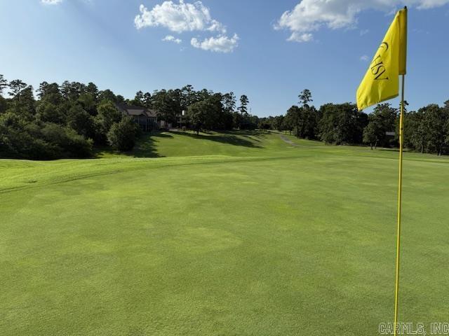 35 Jardinero Way  Hot Springs Village, AR