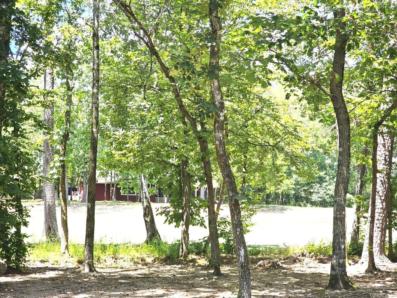 12 Faisan Way  Hot Springs Village, AR
