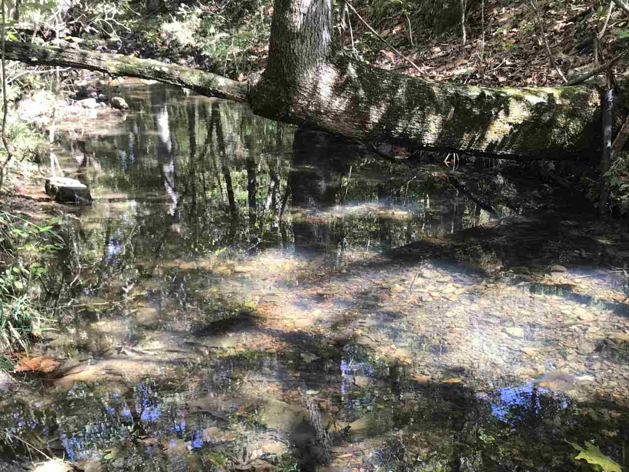 96 acres Powell Hollow  Williford, AR
