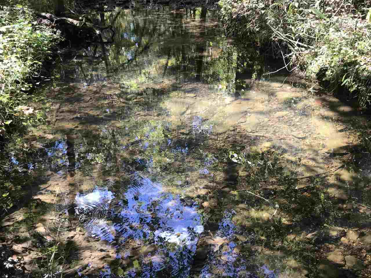 96 acres Powell Hollow  Williford, AR