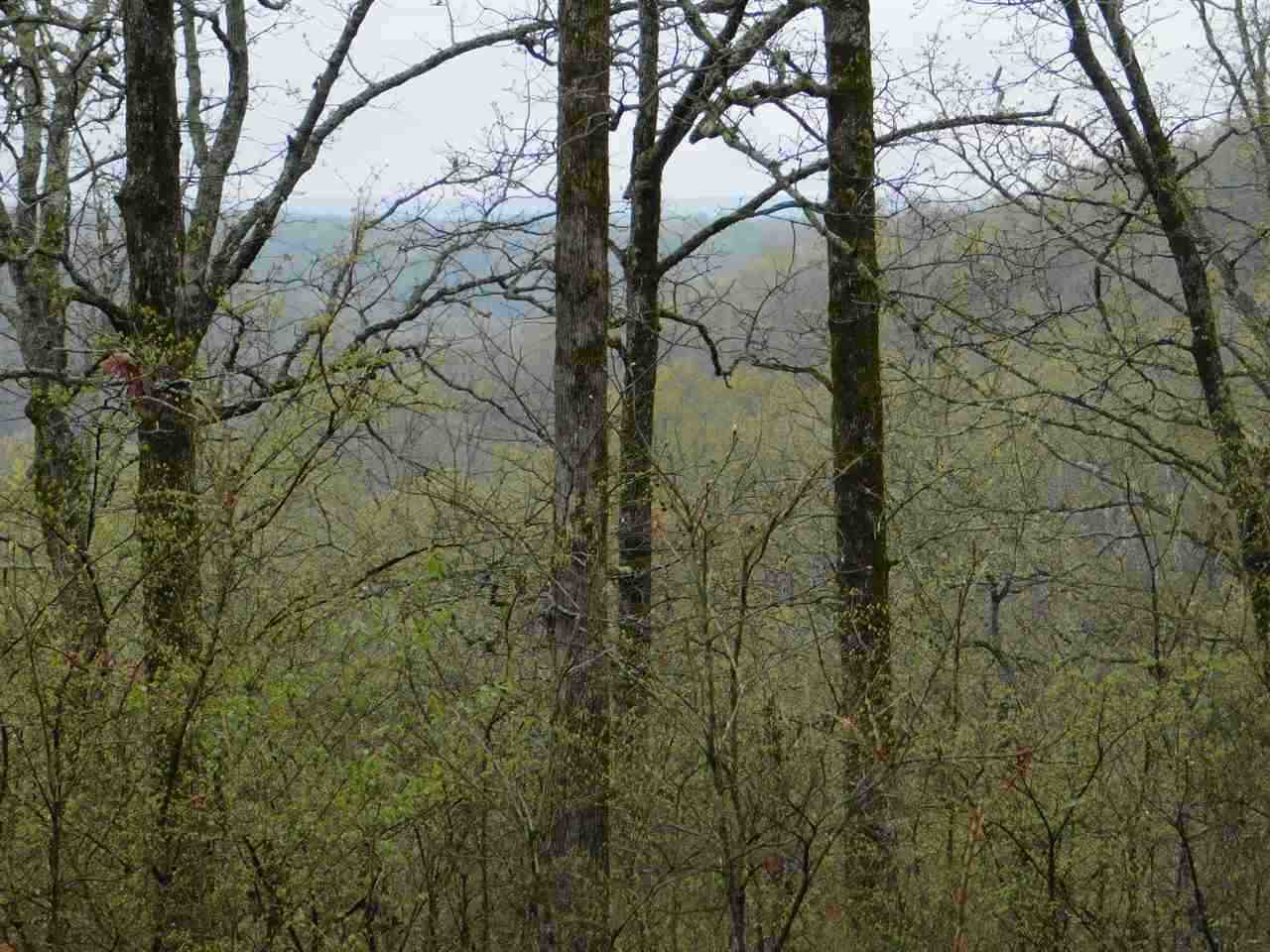 96 acres Powell Hollow  Williford, AR