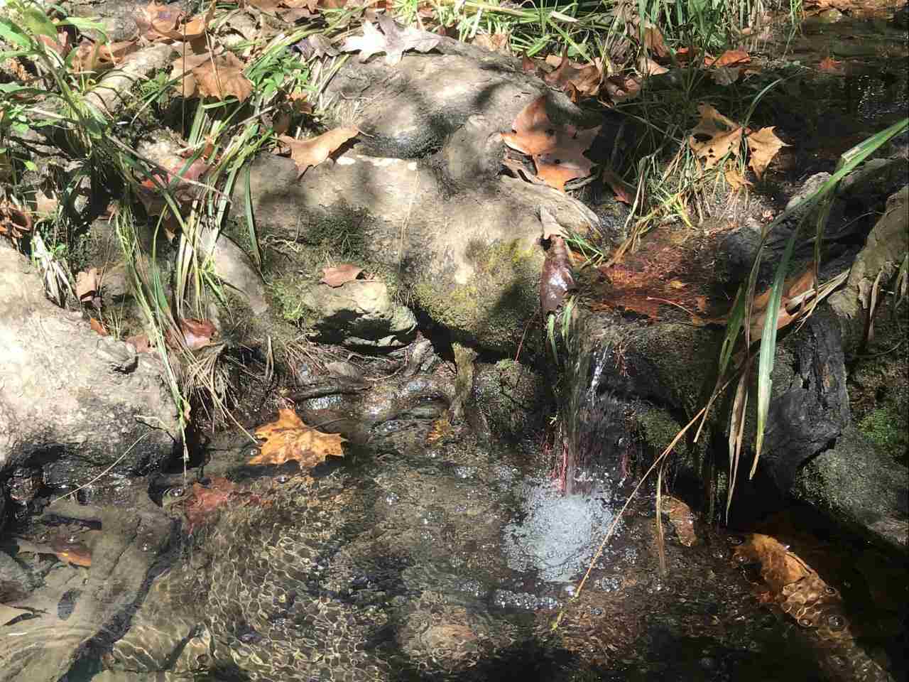 96 acres Powell Hollow  Williford, AR