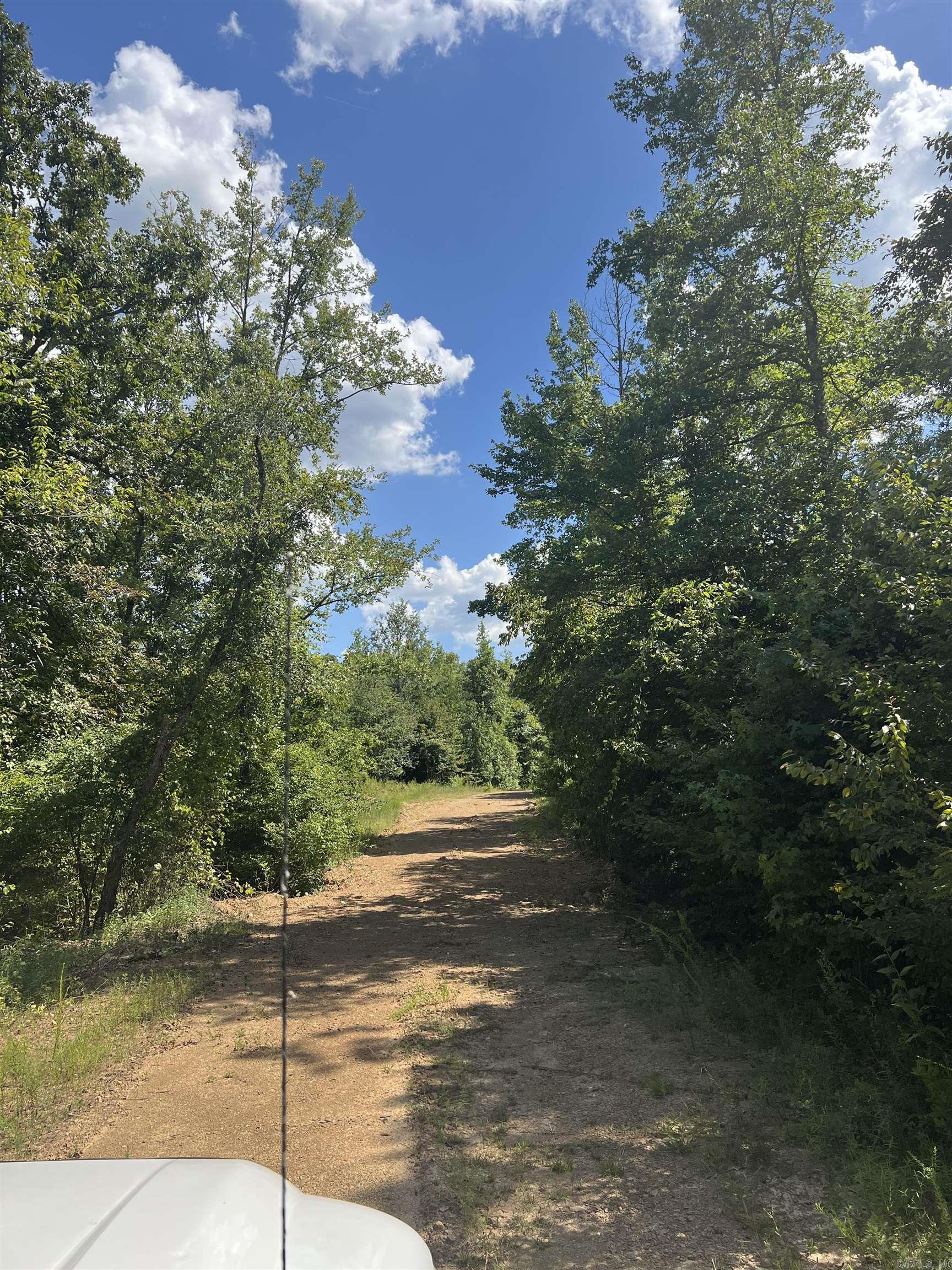 776 John Ashley  Amity, AR