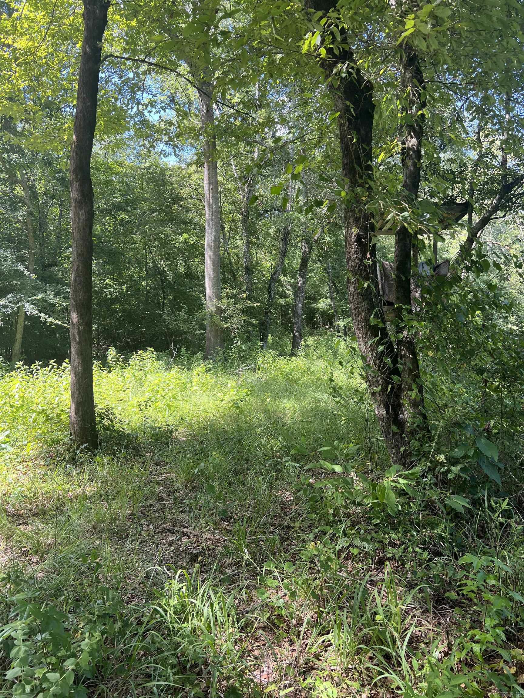 776 John Ashley  Amity, AR