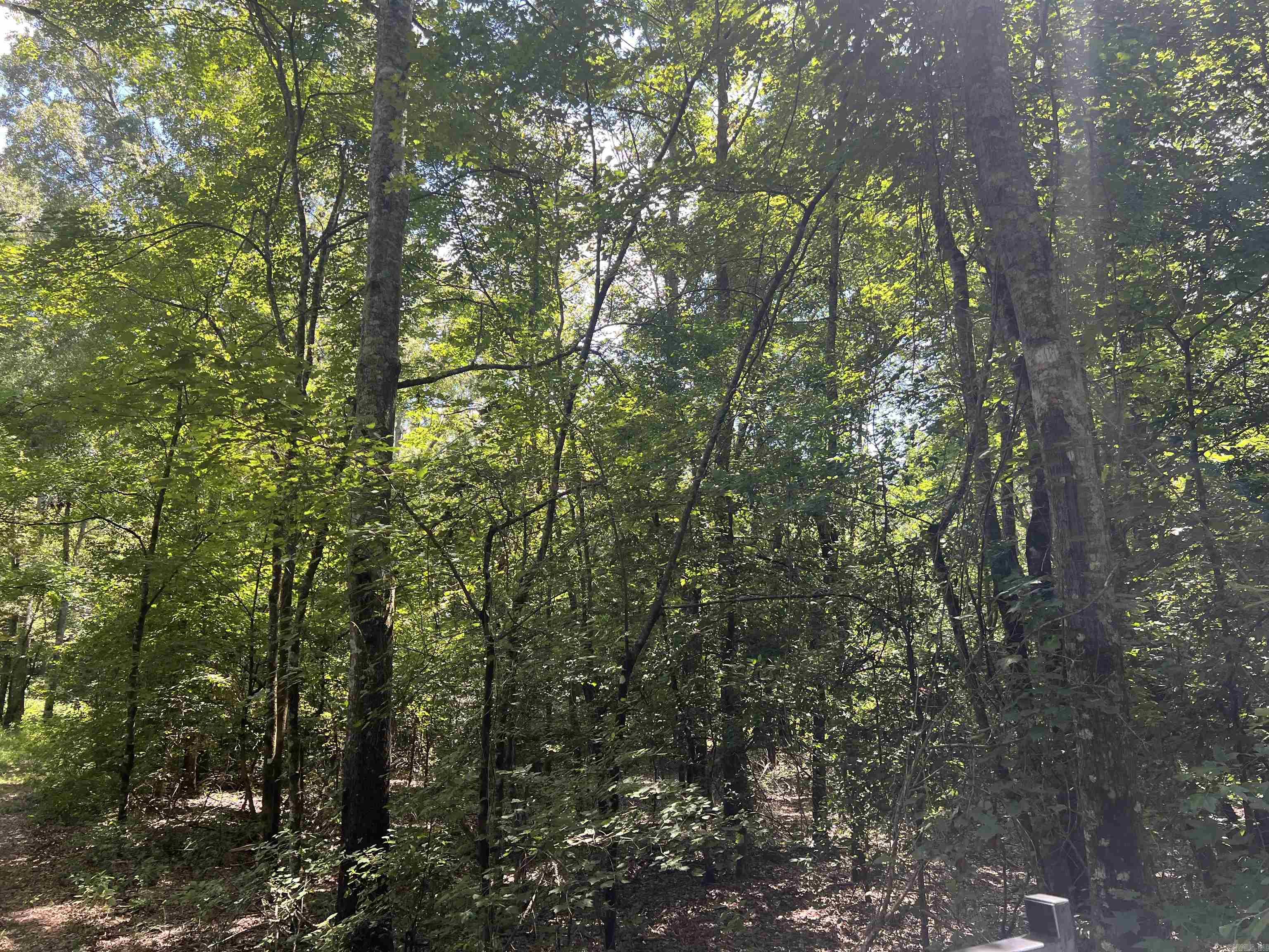 776 John Ashley  Amity, AR