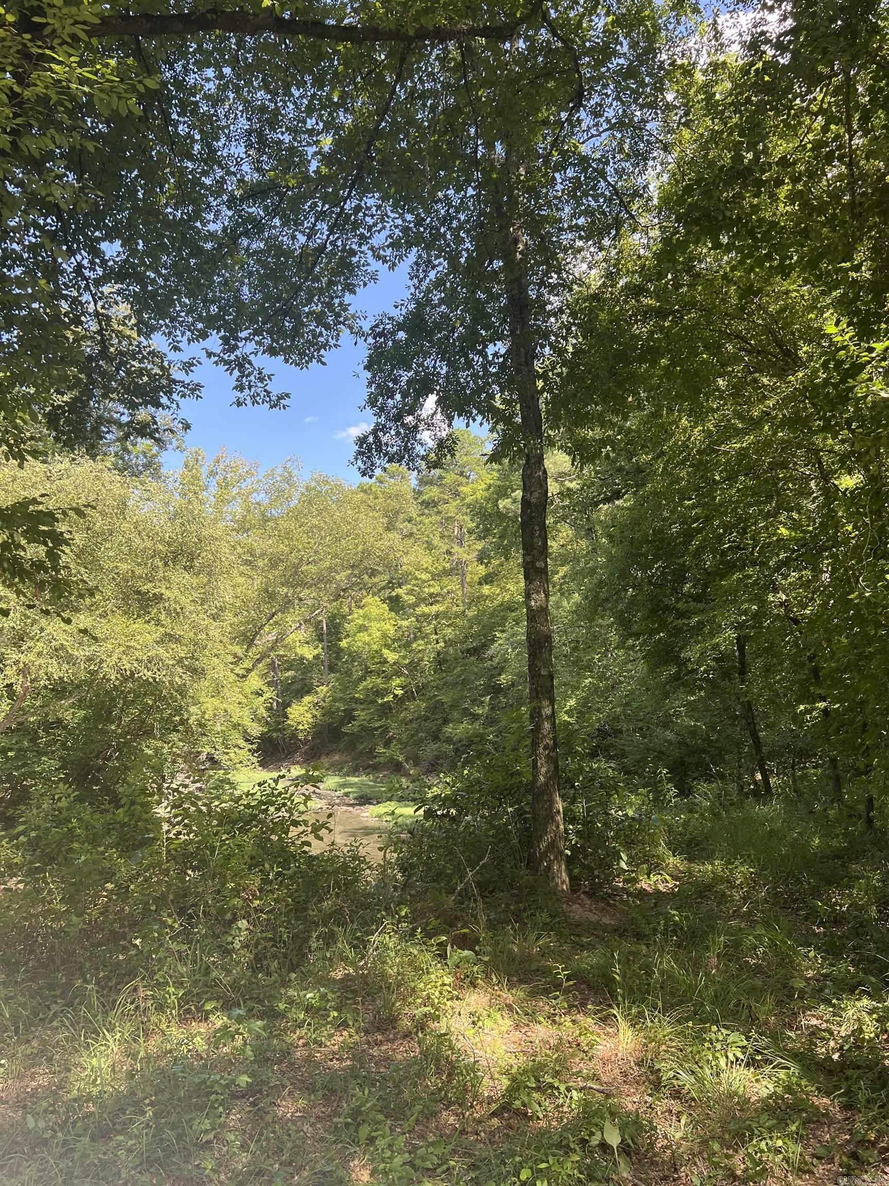 776 John Ashley  Amity, AR