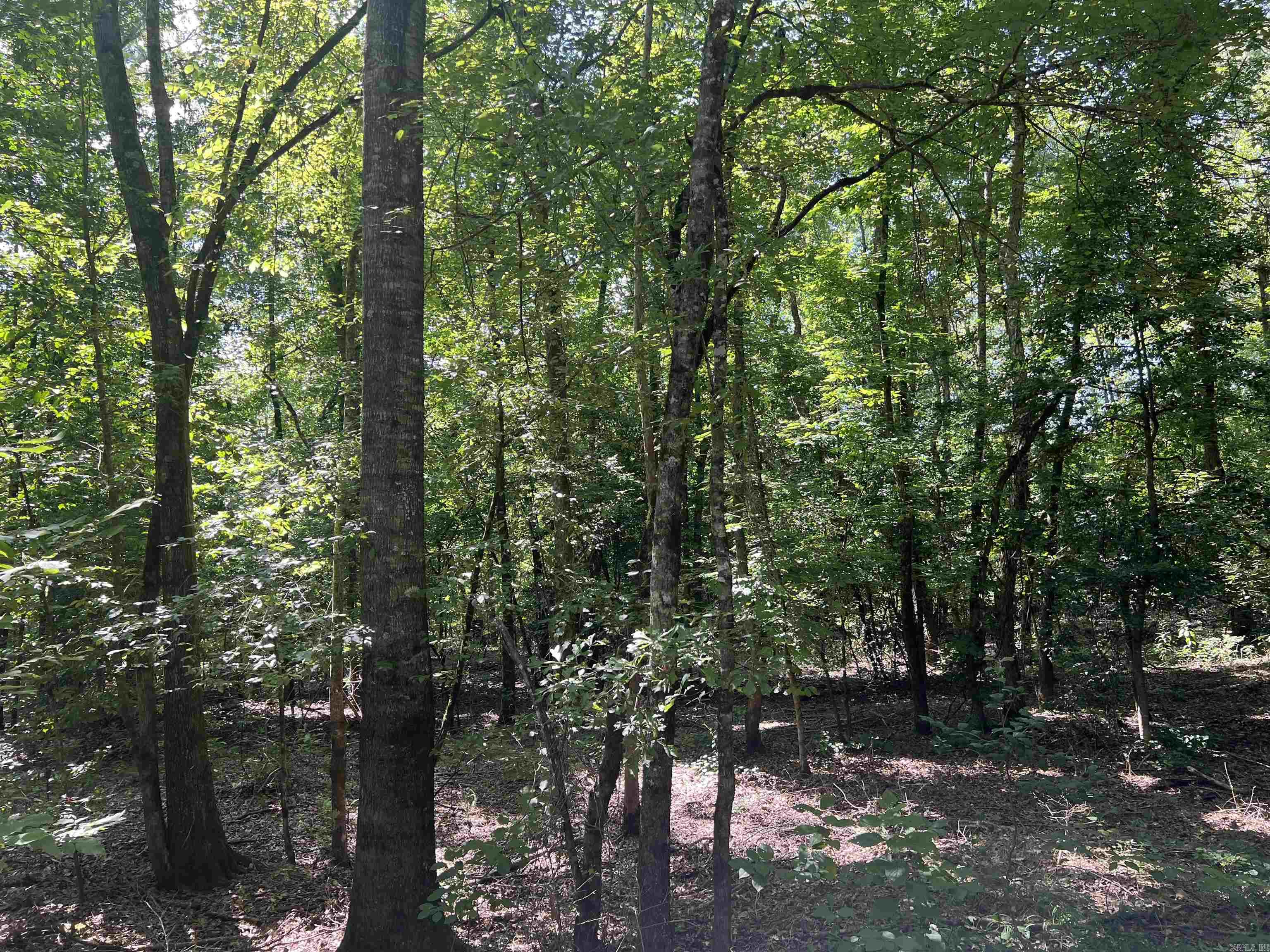 776 John Ashley  Amity, AR