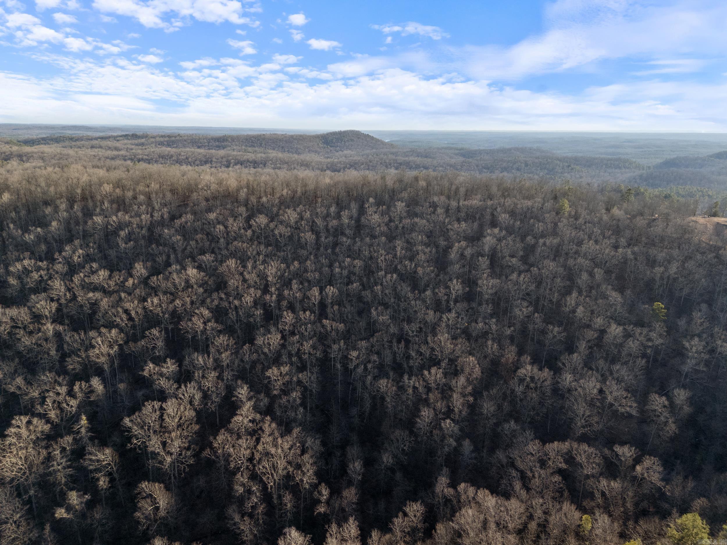 Lot 7,8,9 Turkey  Paron, AR