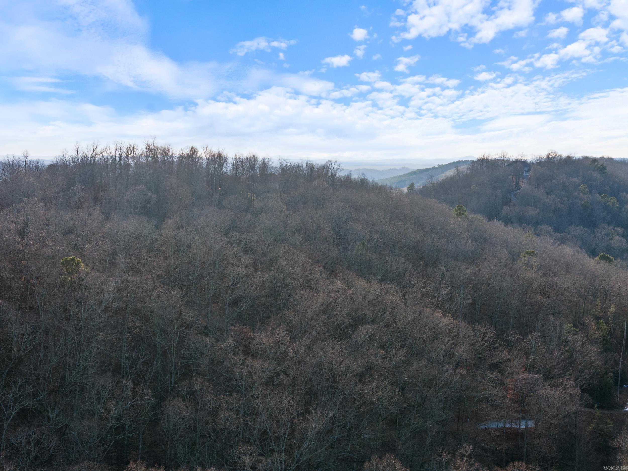 Lot 7,8,9 Turkey  Paron, AR
