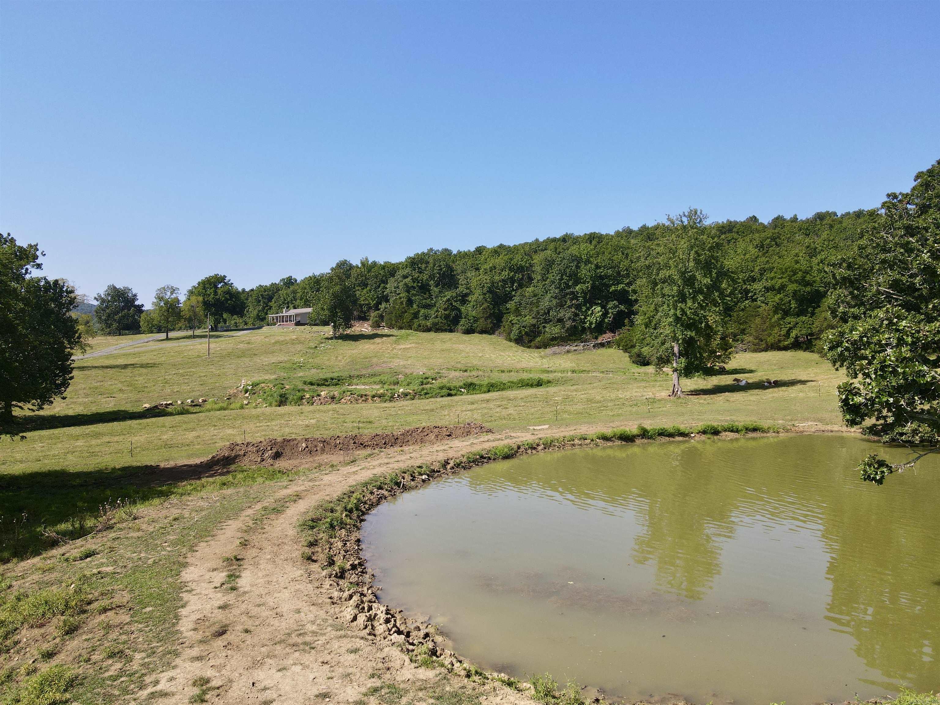 2172 Wiley's Cove Rd.  Leslie, AR