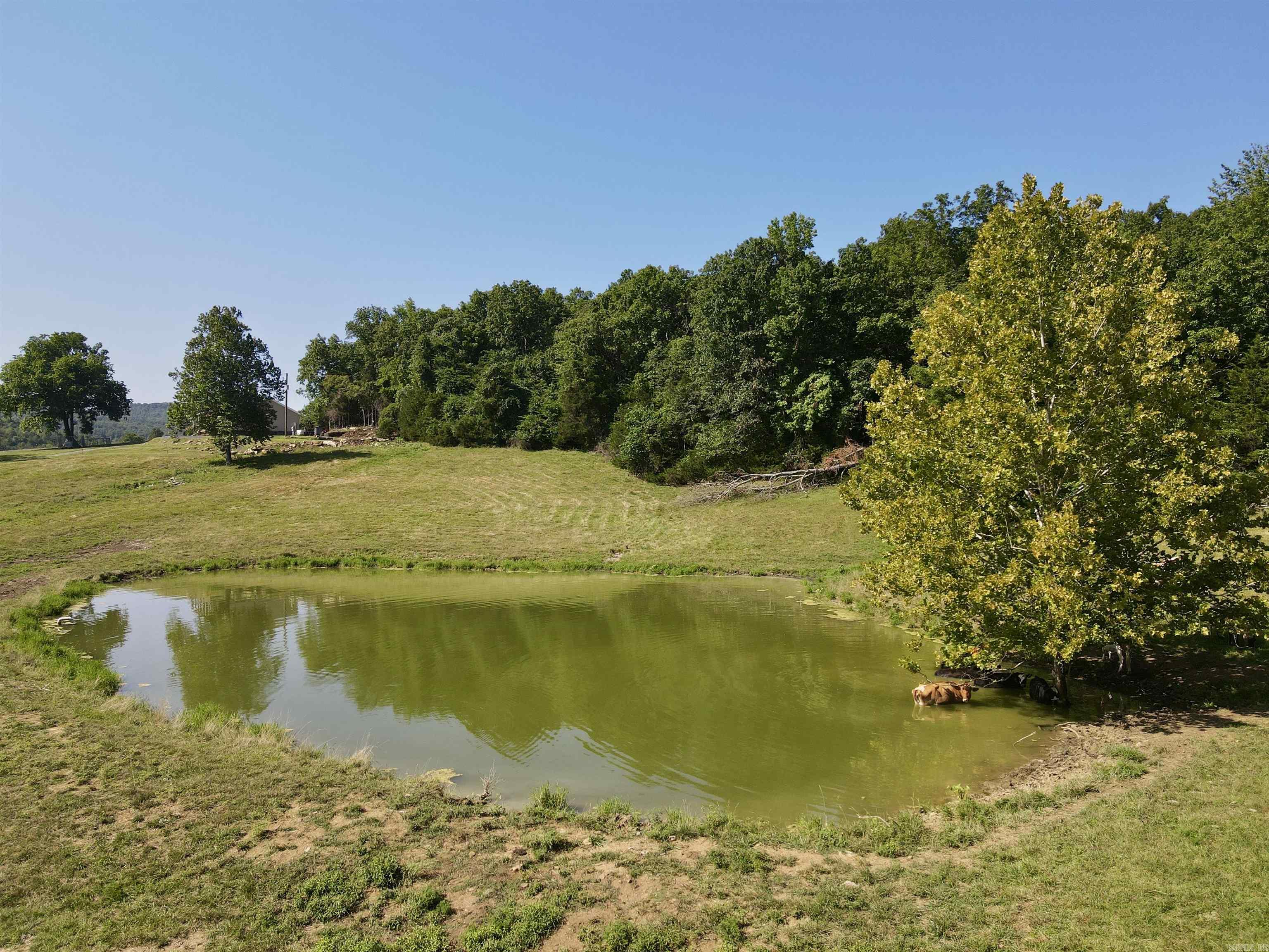 2172 Wiley's Cove Rd.  Leslie, AR