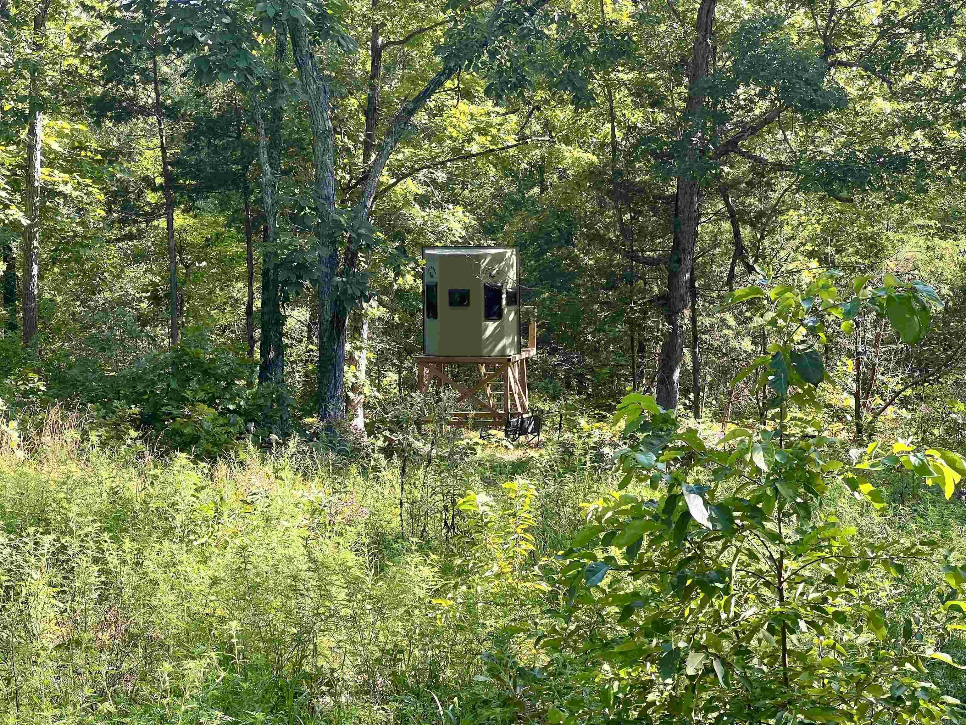 2172 Wiley's Cove Rd.  Leslie, AR