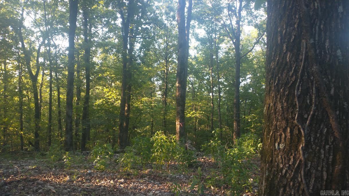 TBD E HWY 8 E  Glenwood, AR