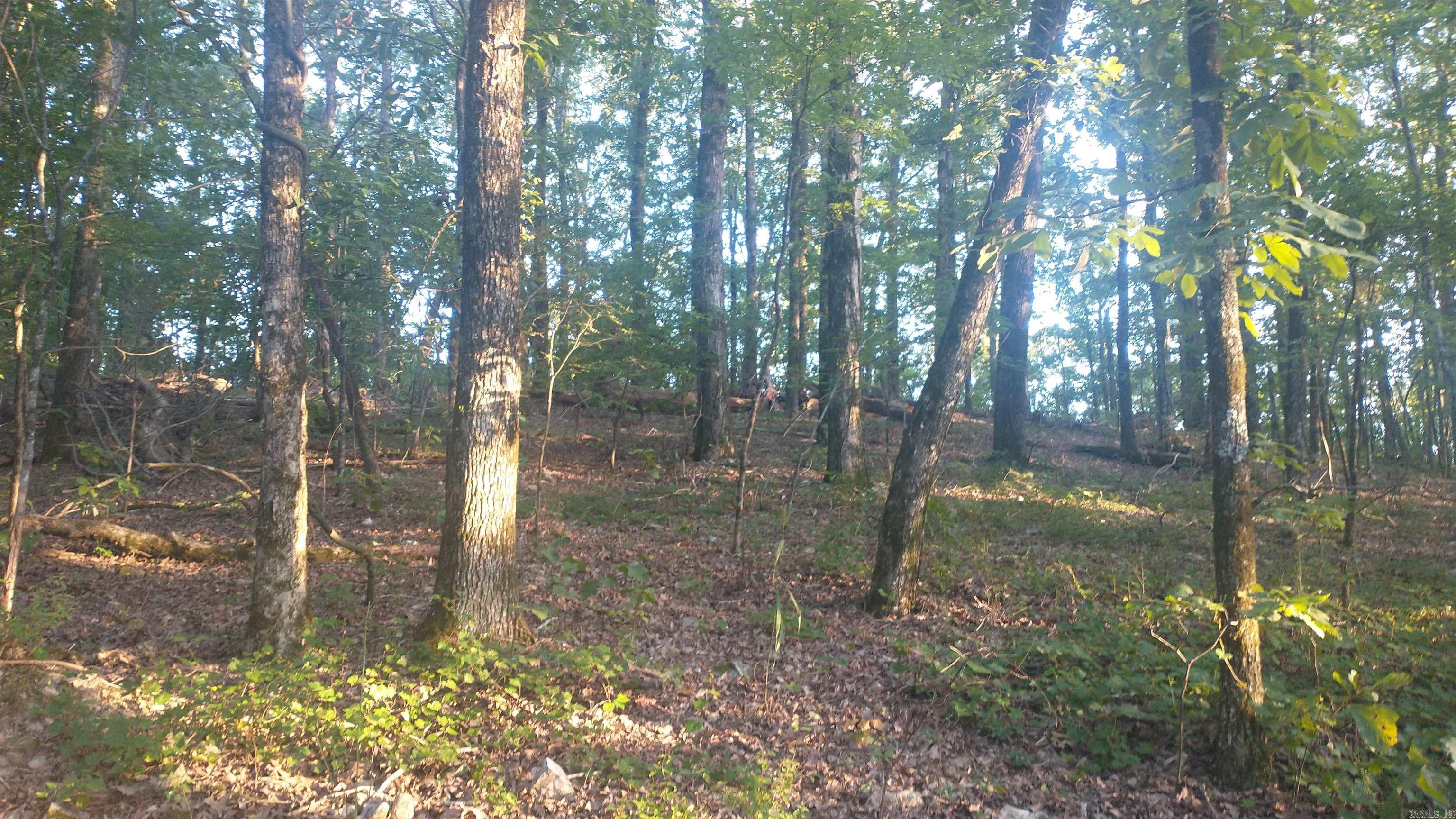 TBD E HWY 8 E  Glenwood, AR