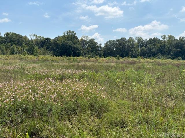 1652 Bland Chapel Rd  Ward, AR
