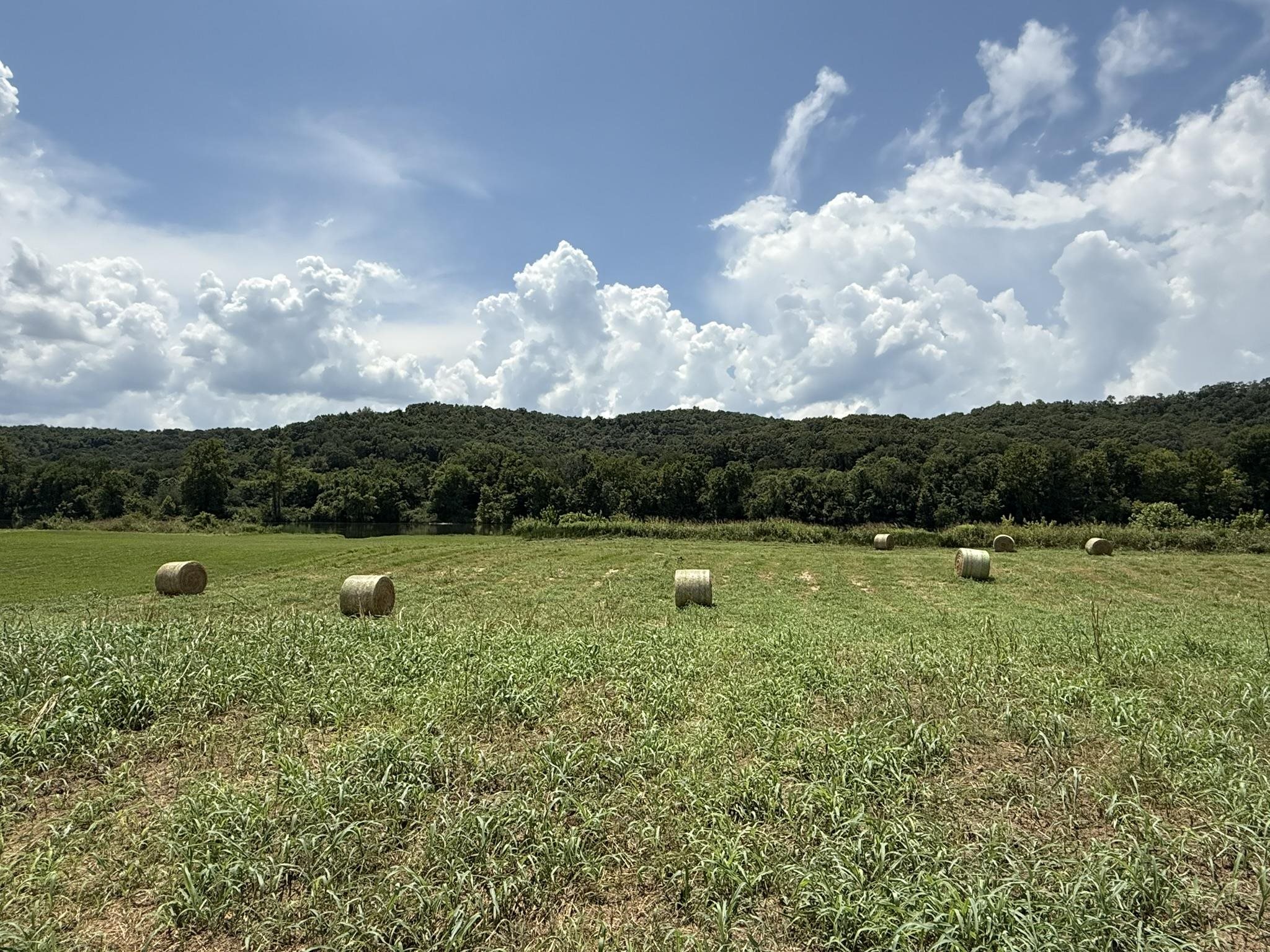 44 White River Run  Guion, AR