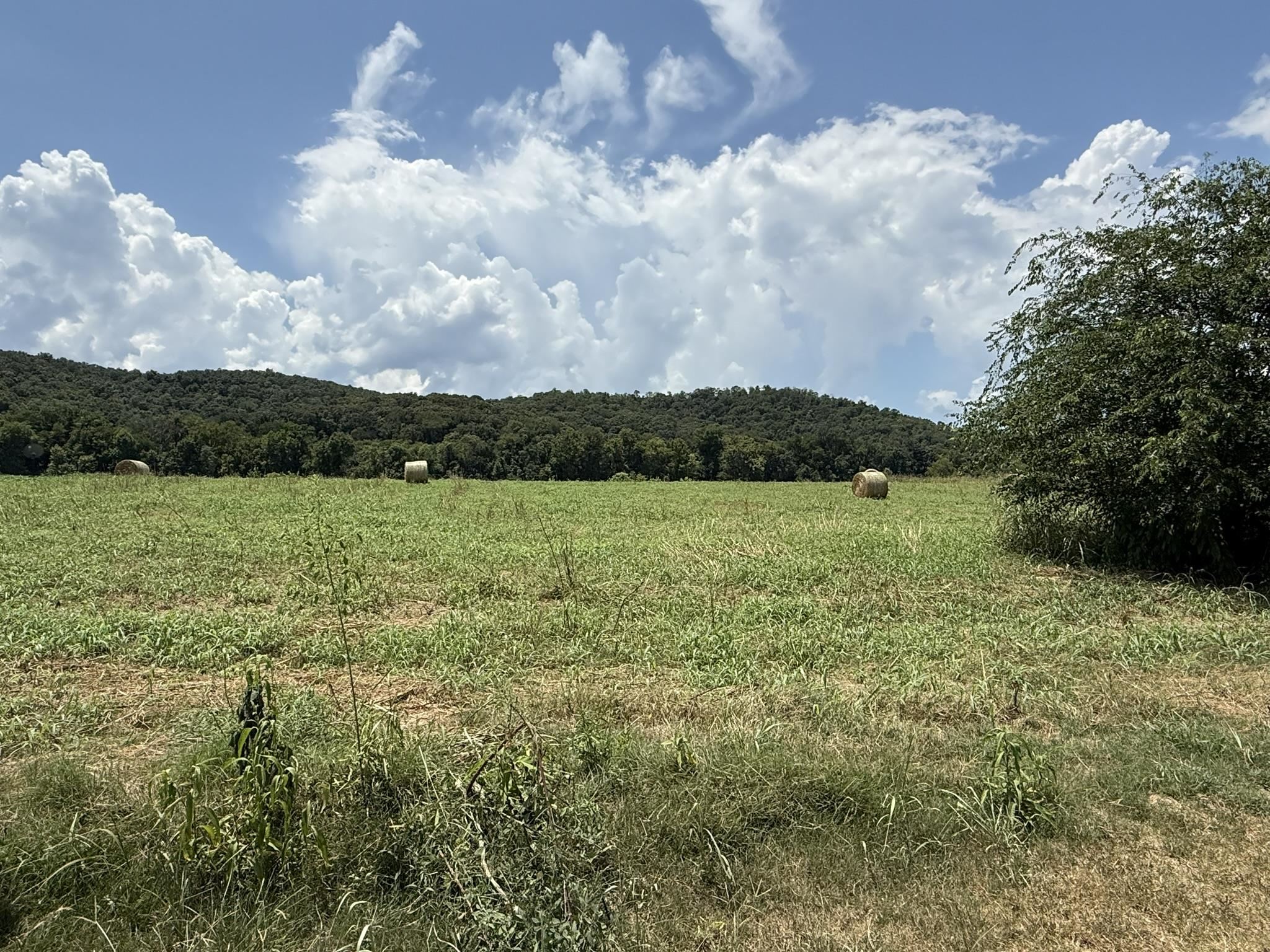 44 White River Run  Guion, AR