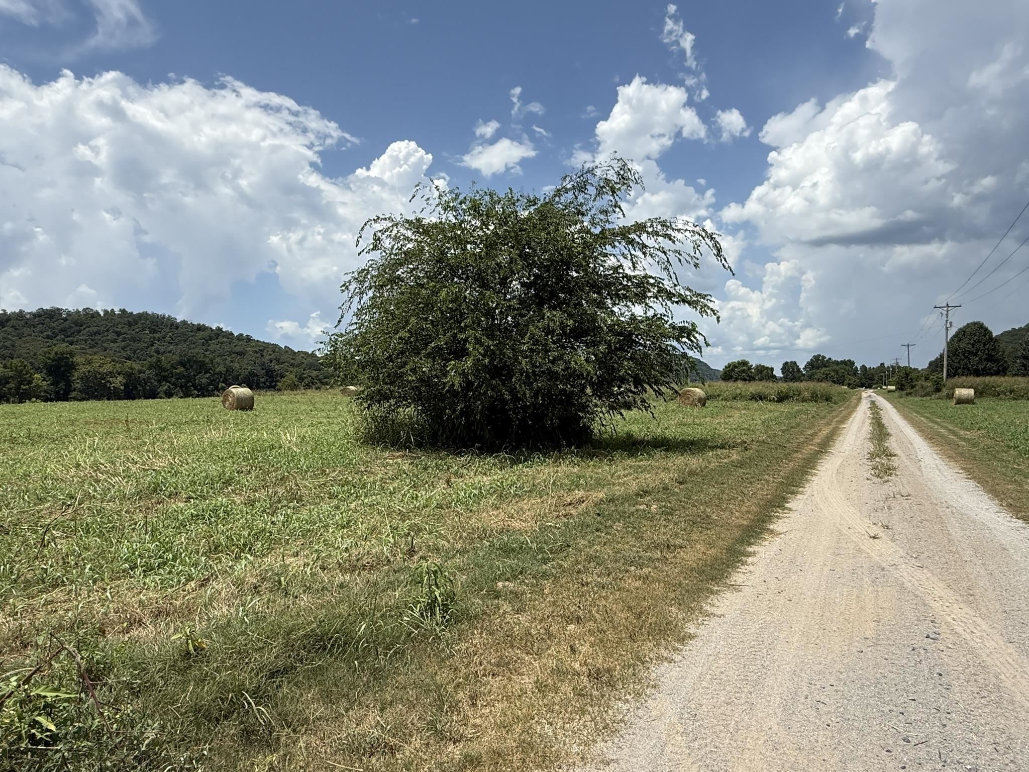 44 White River Run  Guion, AR