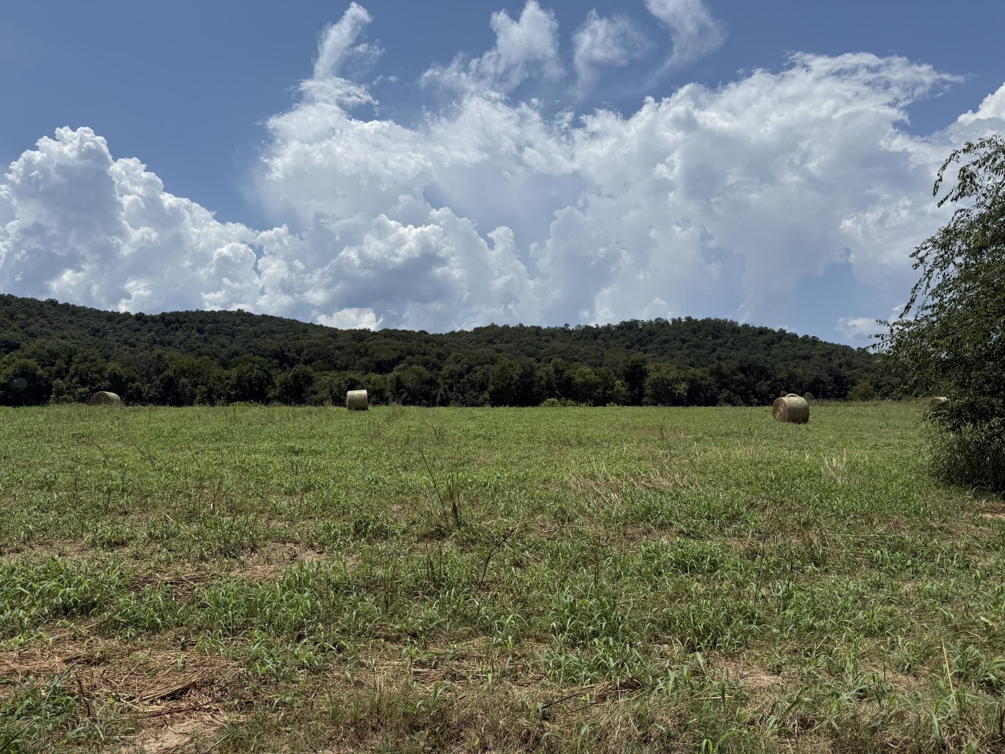 44 White River Run  Guion, AR