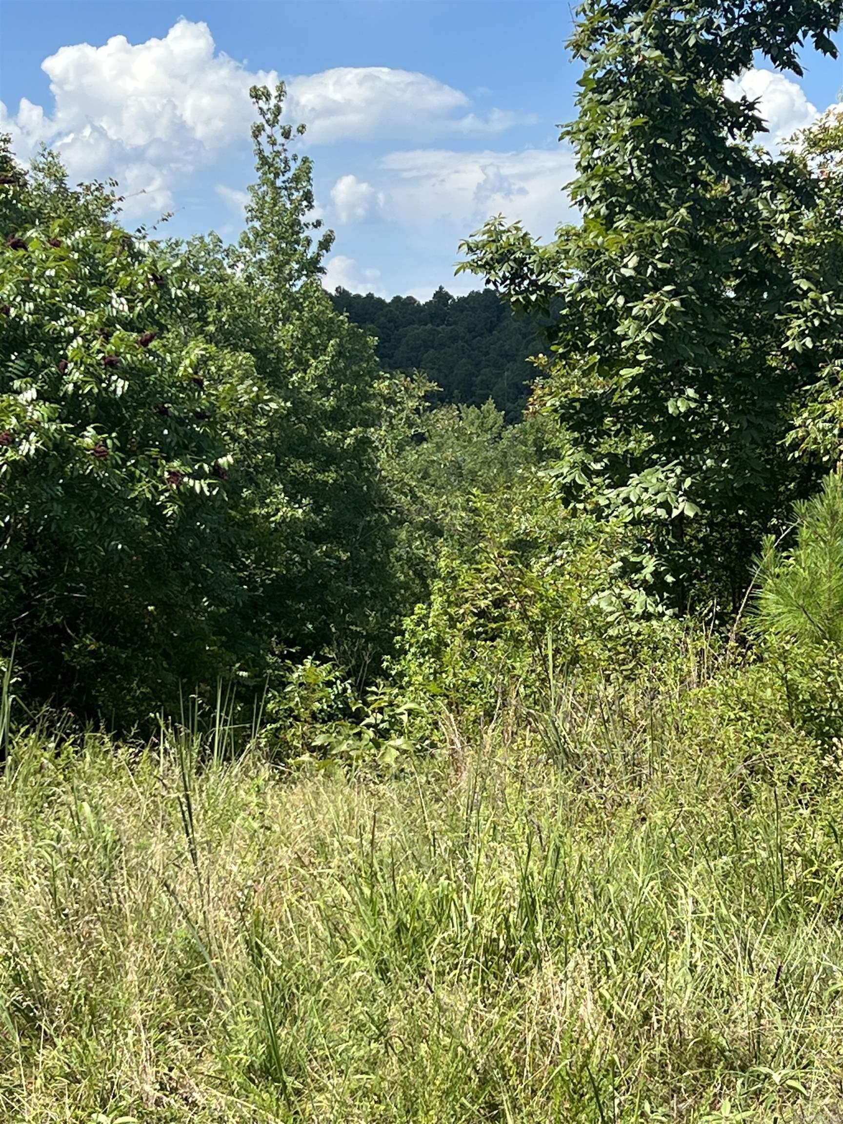 766 John Asley  Amity, AR