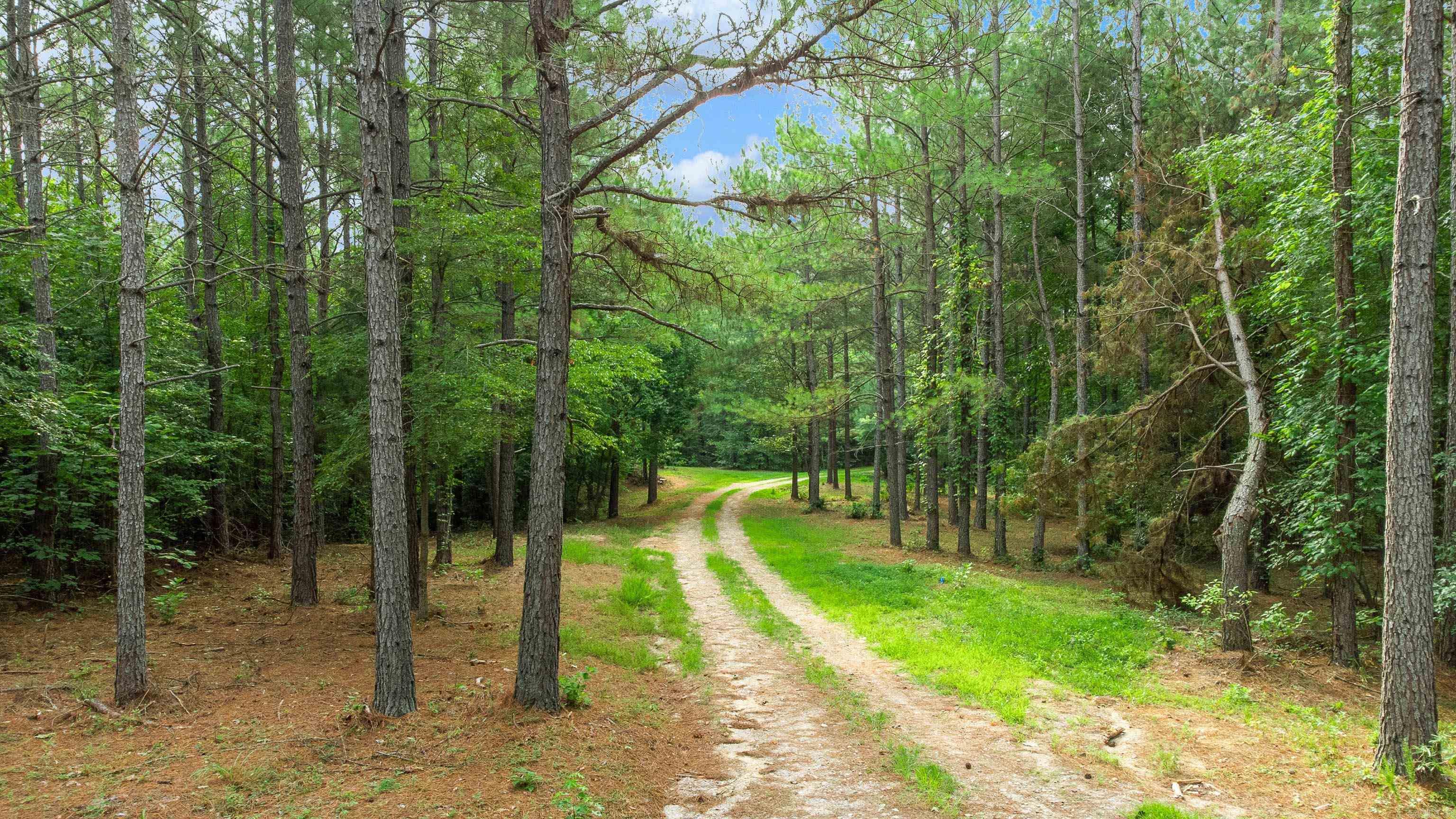 172 Hefley Lane Lonsdale, AR 72087